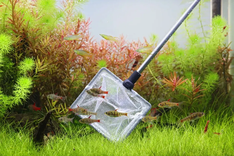 NatureHolic Nano Pro Net Kescher weiß Teleskop 33-69cm