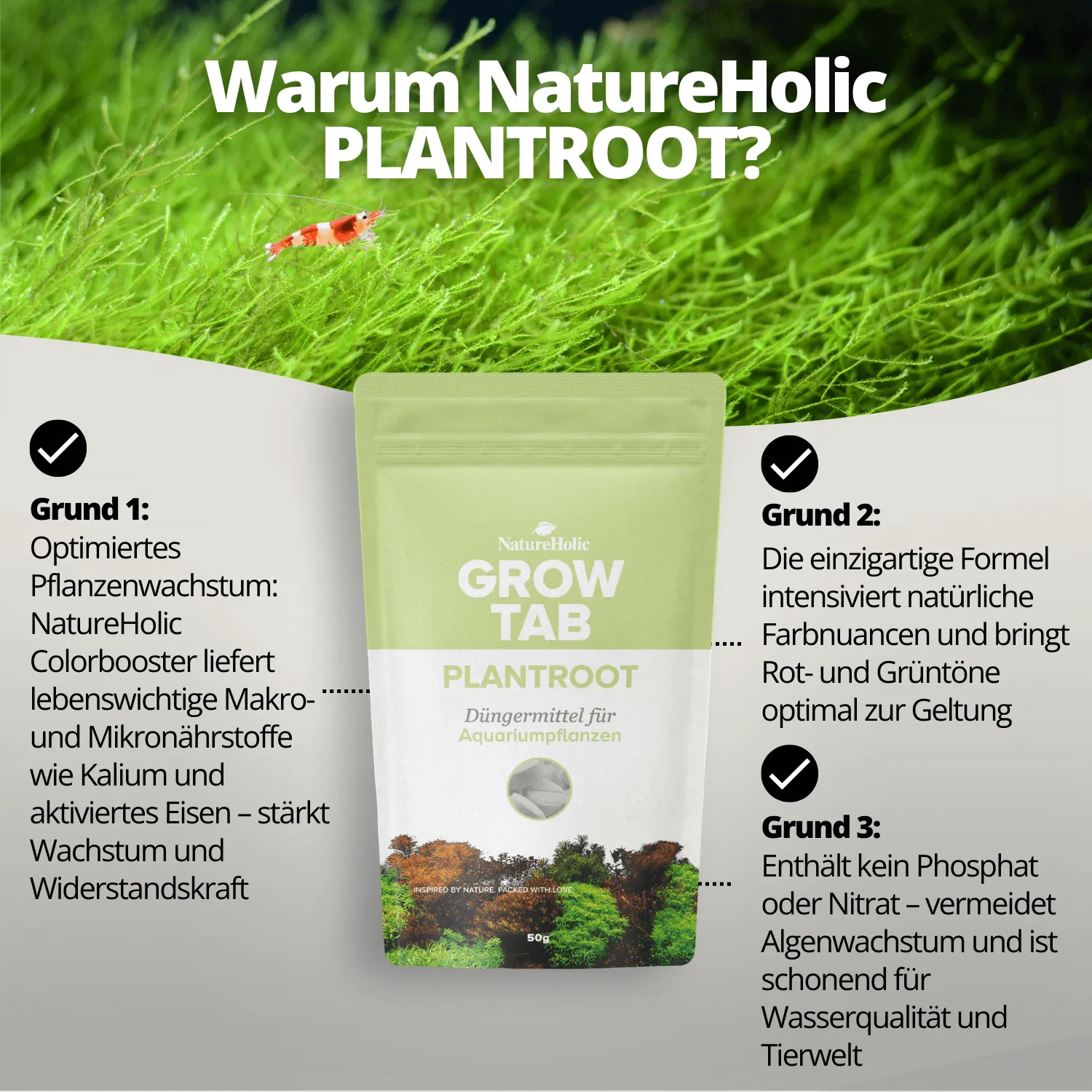 NatureHolic Grow Tab Plantroot Bodentabletten Wurzel Dünger