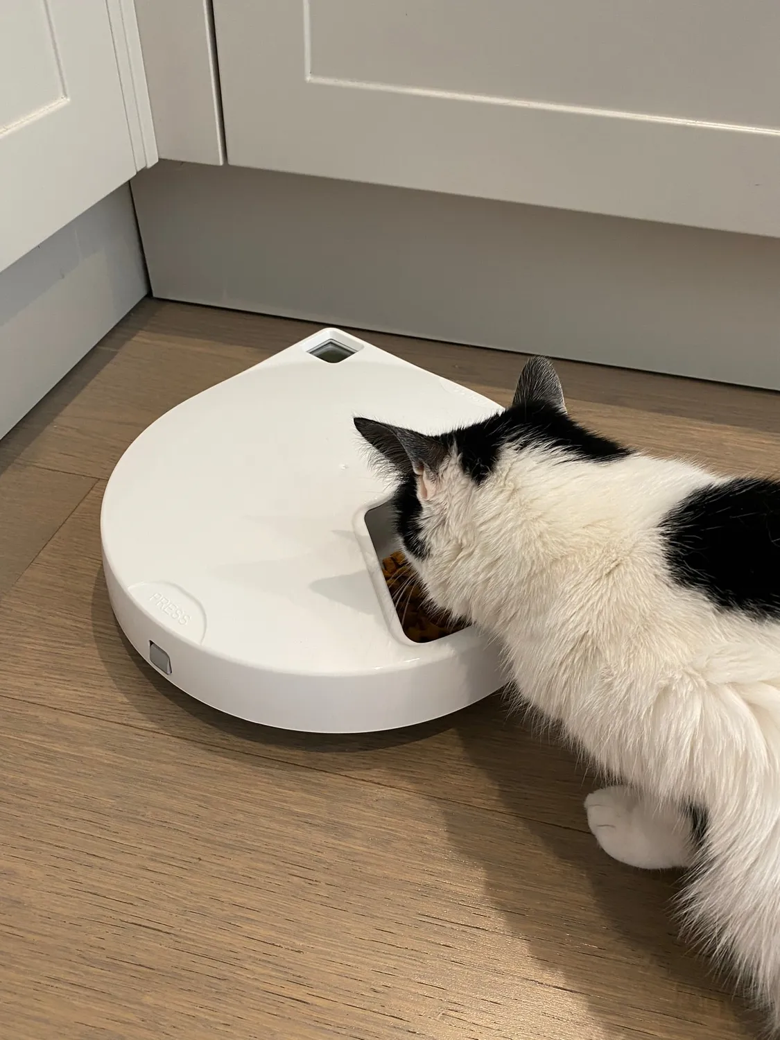 Closer Pets Cat Mate C500 Edelstahlnäpfe 5er-Pack Ersatz