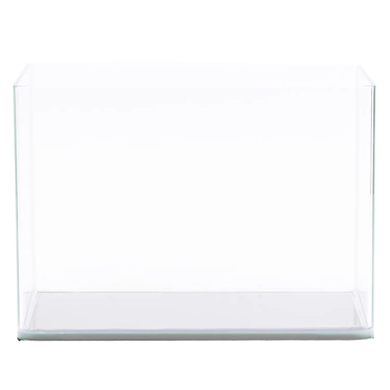 NatureHolic Curved Garden Tank Pico Aquarium 12 Liter