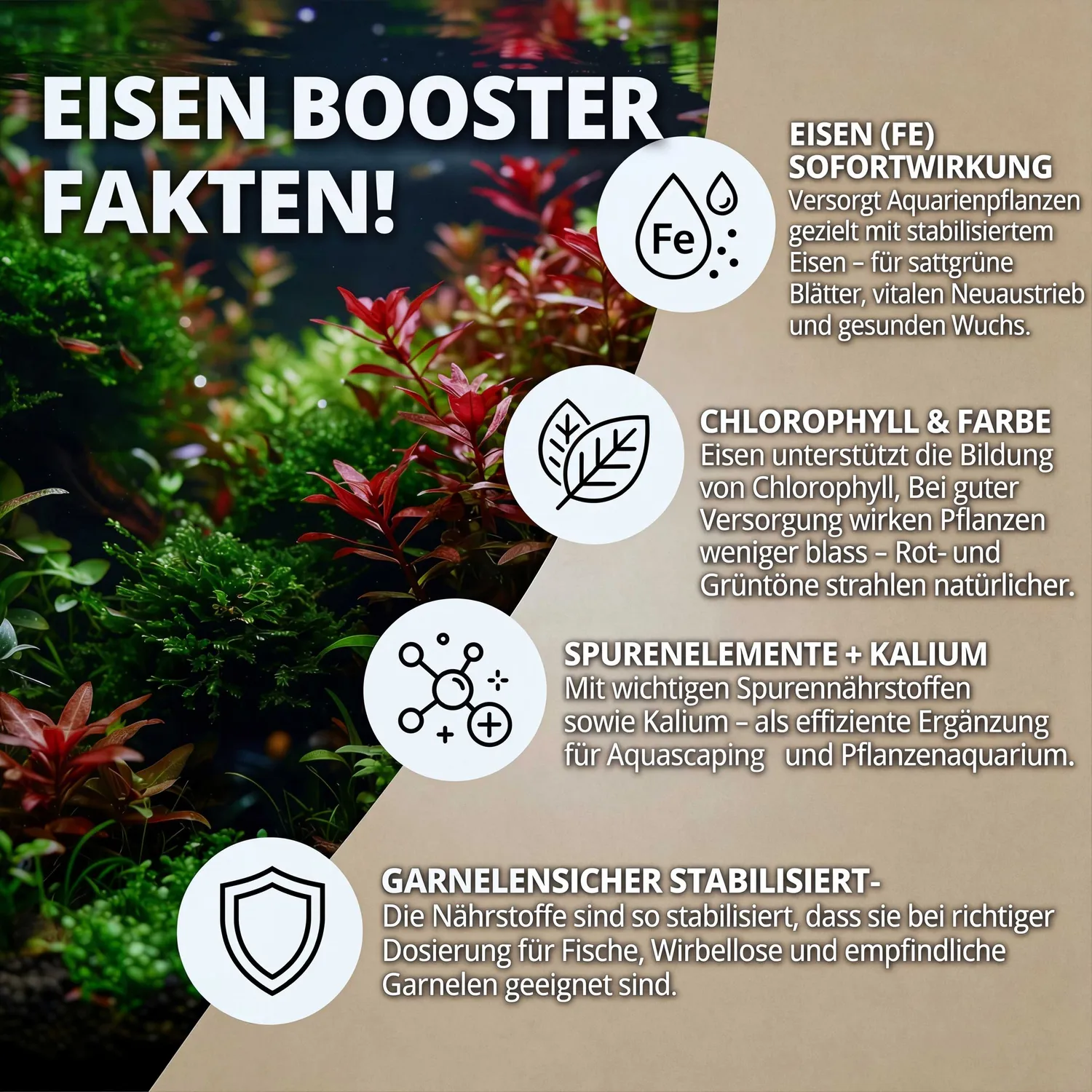 NatureHolic Eisenboost Eisendünger Aquarium flüssig Eisen