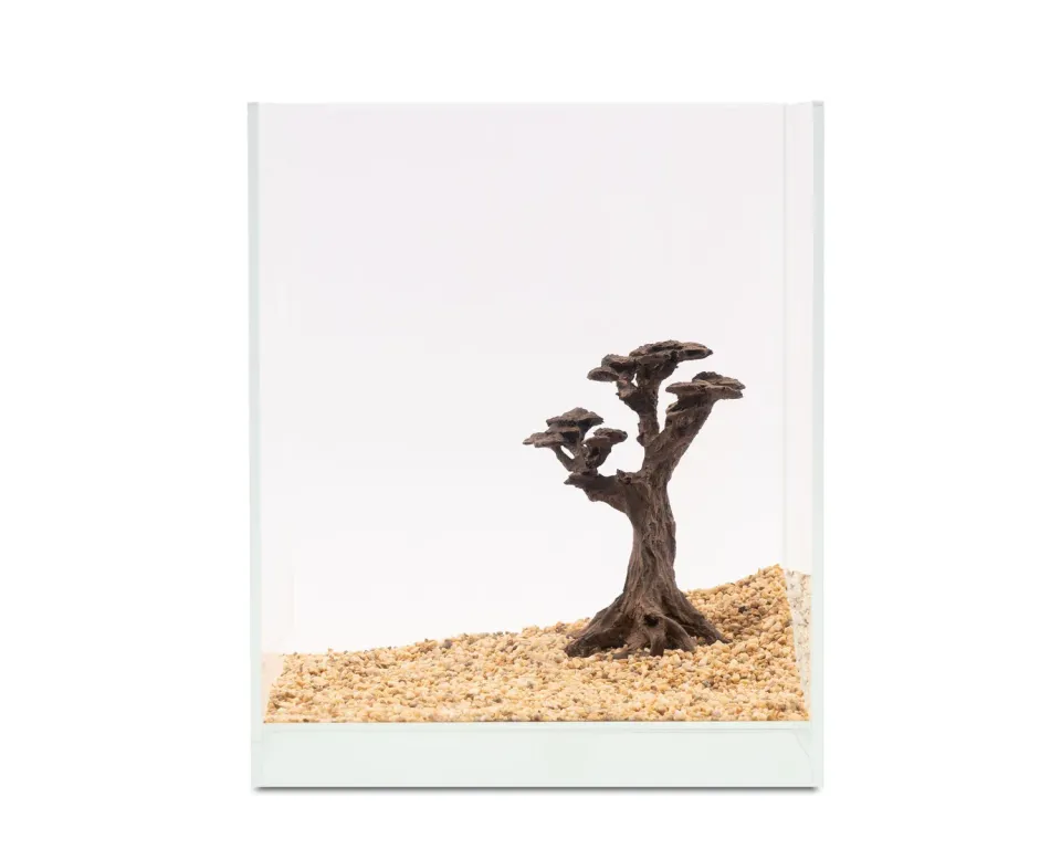 NatureHolic Stone Bonsai Pico Aquarium Deko Polyresin Nano