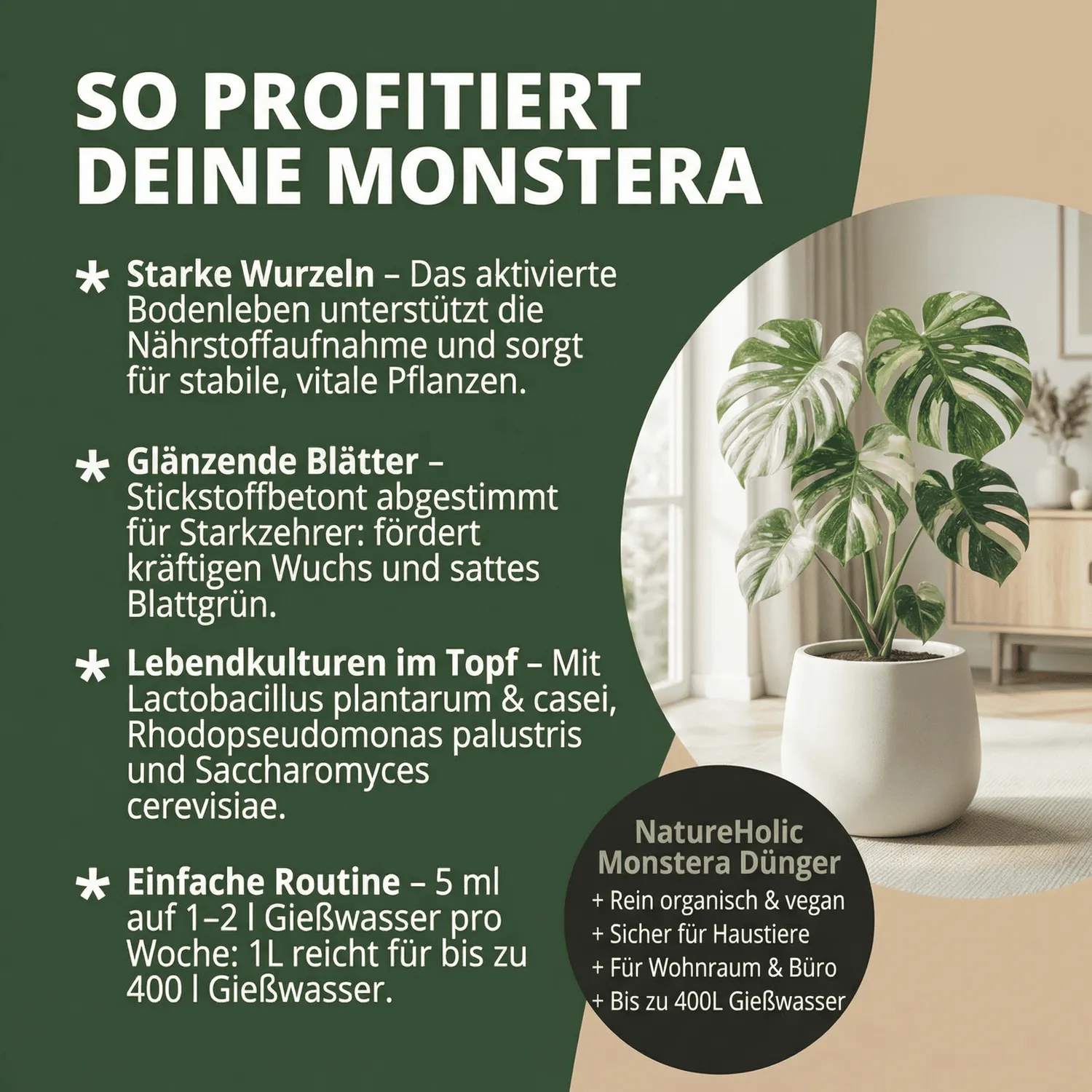 NatureHolic Monstera Flüssigdünger 1000ml Zimmerpflanzendünger vegan