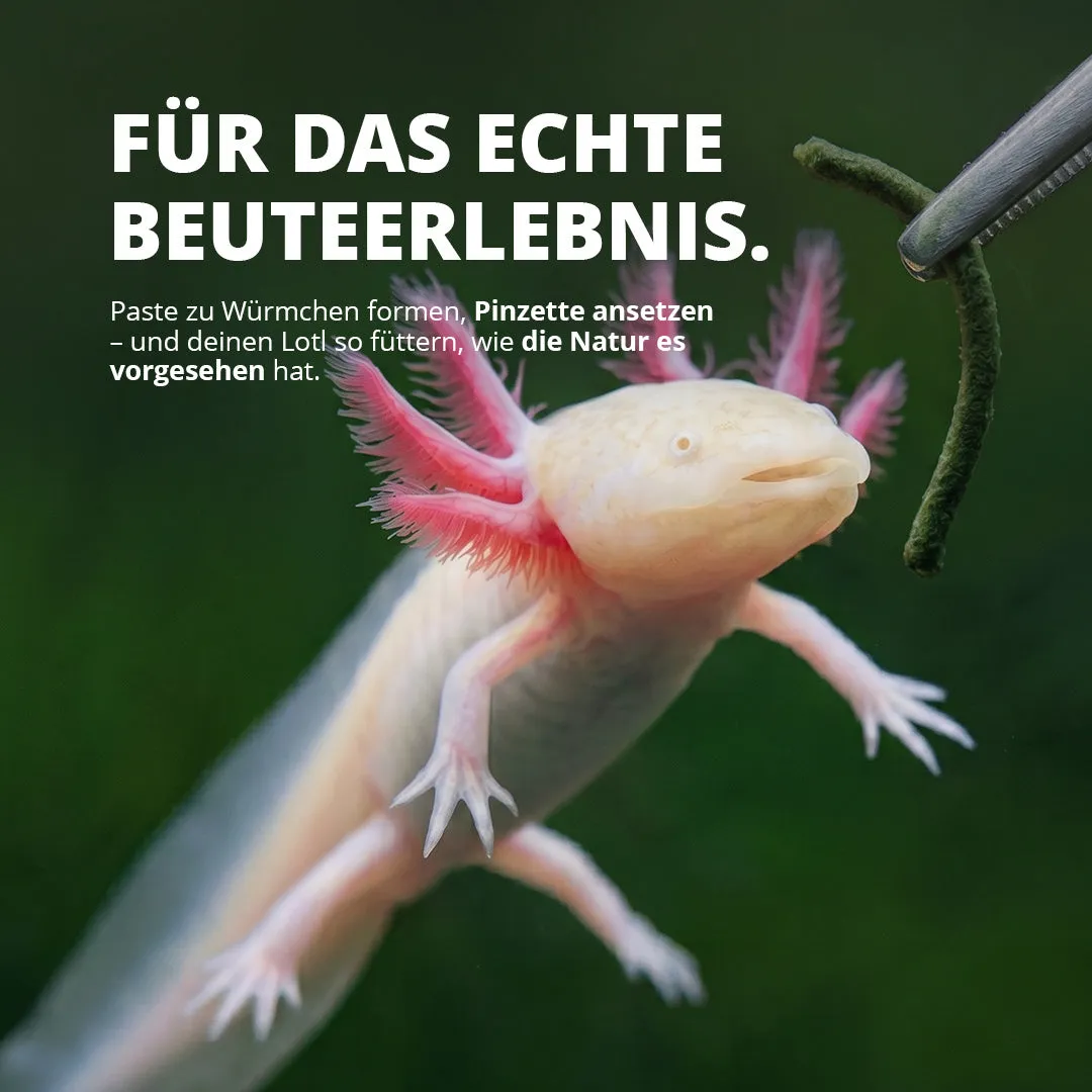 NatureHolic Axolotl Pudding Futterpaste formbar Protein