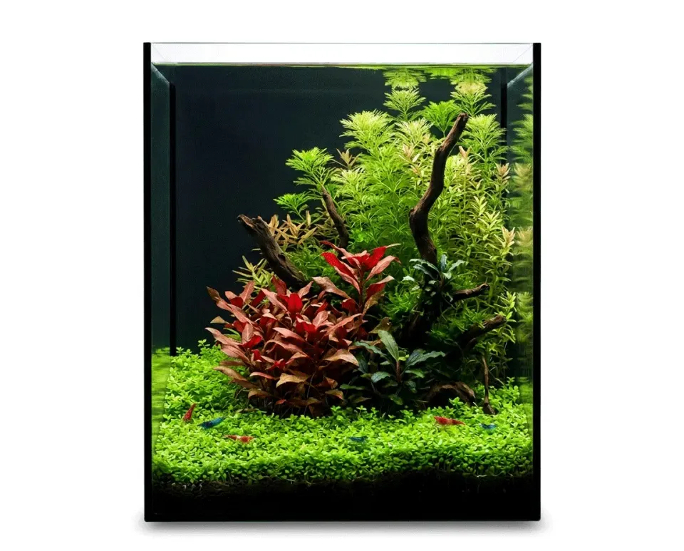 NatureHolic Black Wall 35L Aquarium mit schwarzer Rückwand