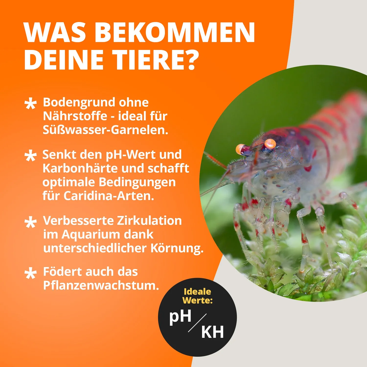 NatureHolic Shrimp Soil Aquarium Bodengrund 3 Liter ph-senkend