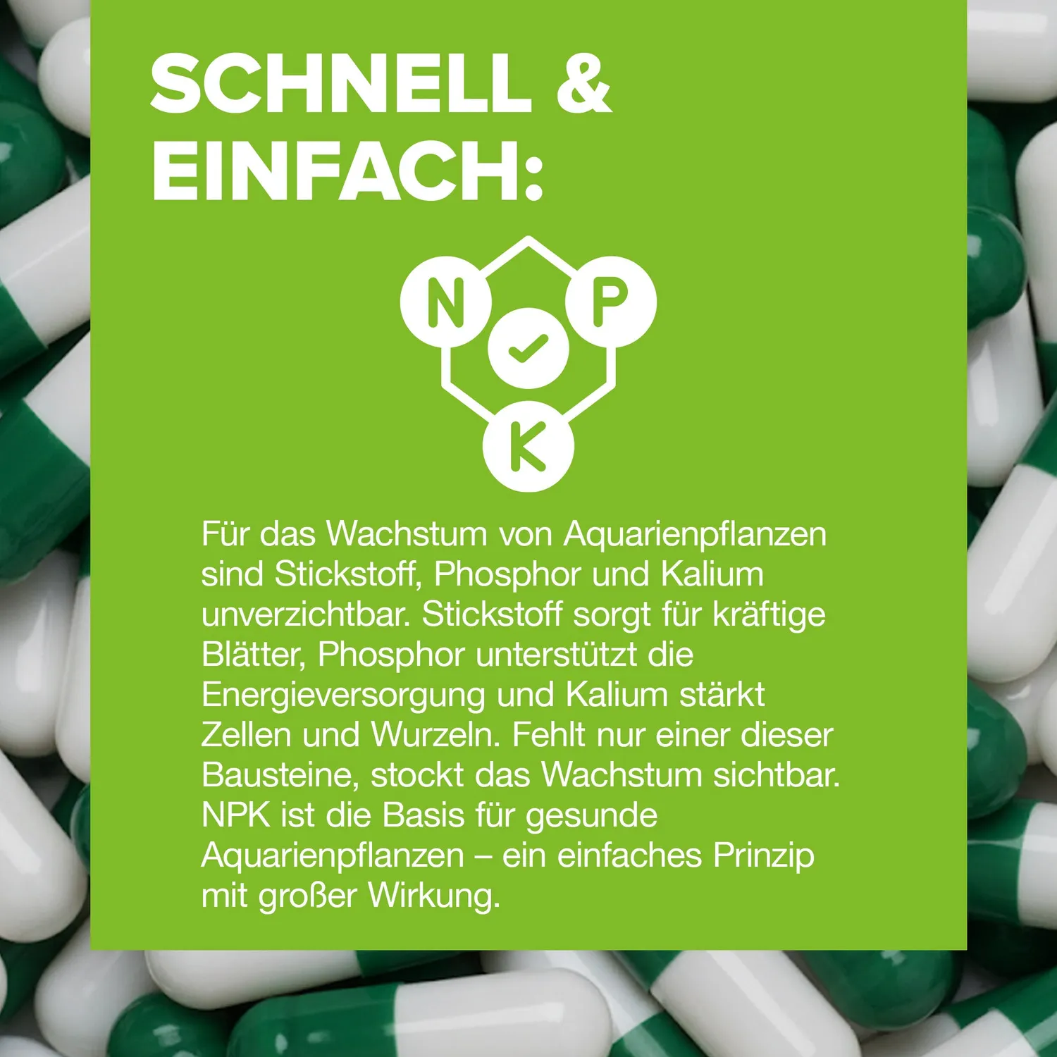 NatureHolic NutriCaps Bodengrunddünger Wurzelzehrer
