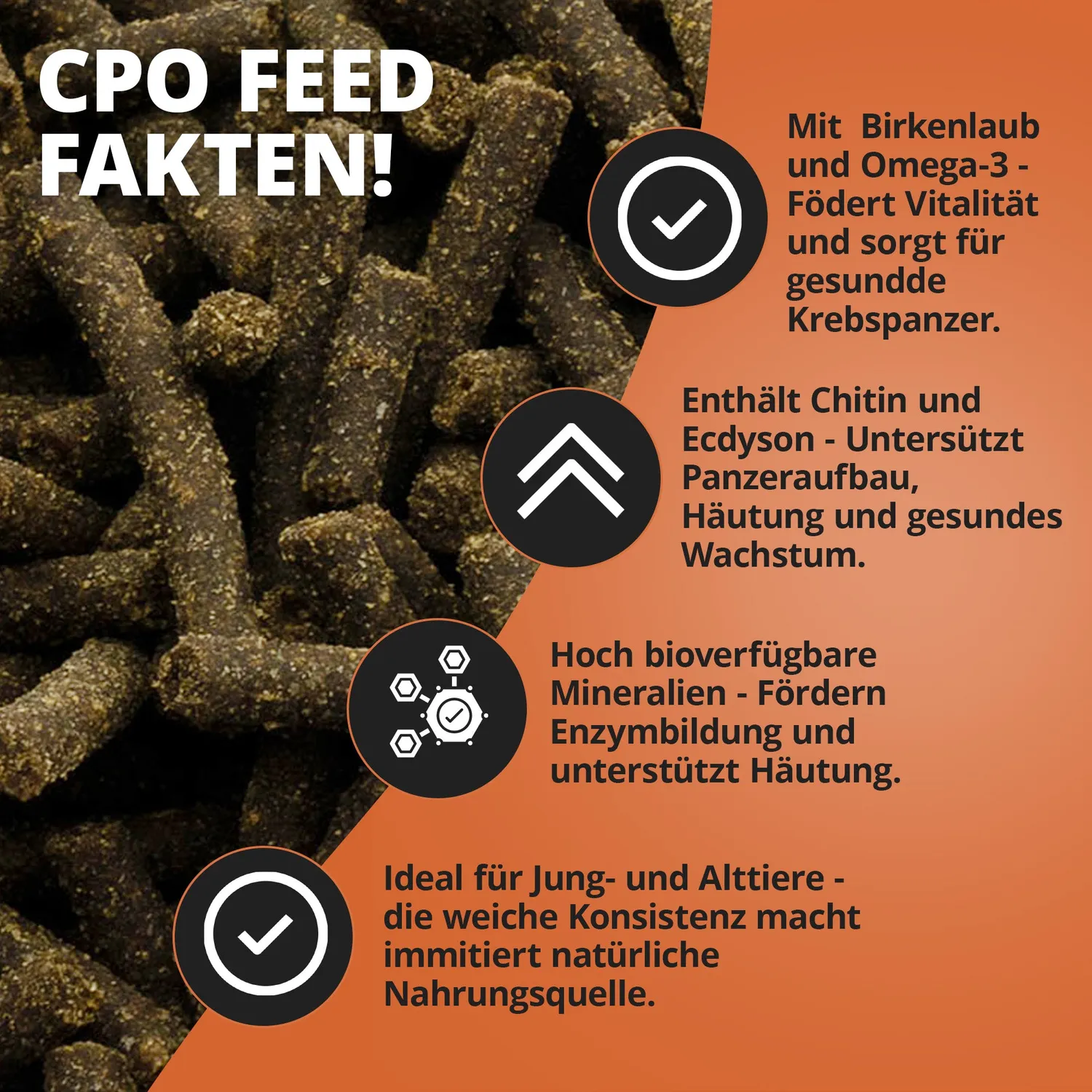 NatureHolic Cambarellusfeed CPO Zwergkrebsfutter 30g proteinreich