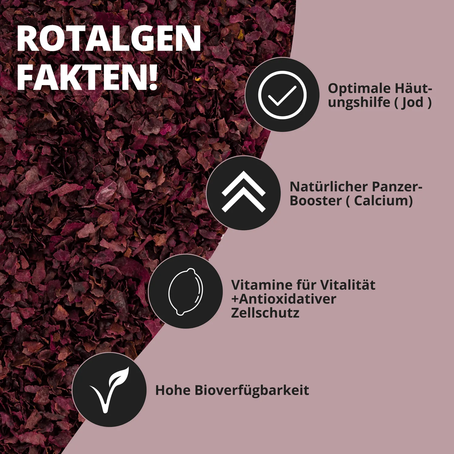 NatureHolic AlgaeFlakes Algenflocken 100 ml Rotalge Palmaria