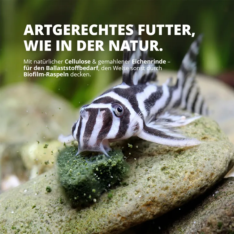NatureHolic Wels Soft Drops Welsfutter 30 g Insektenprotein