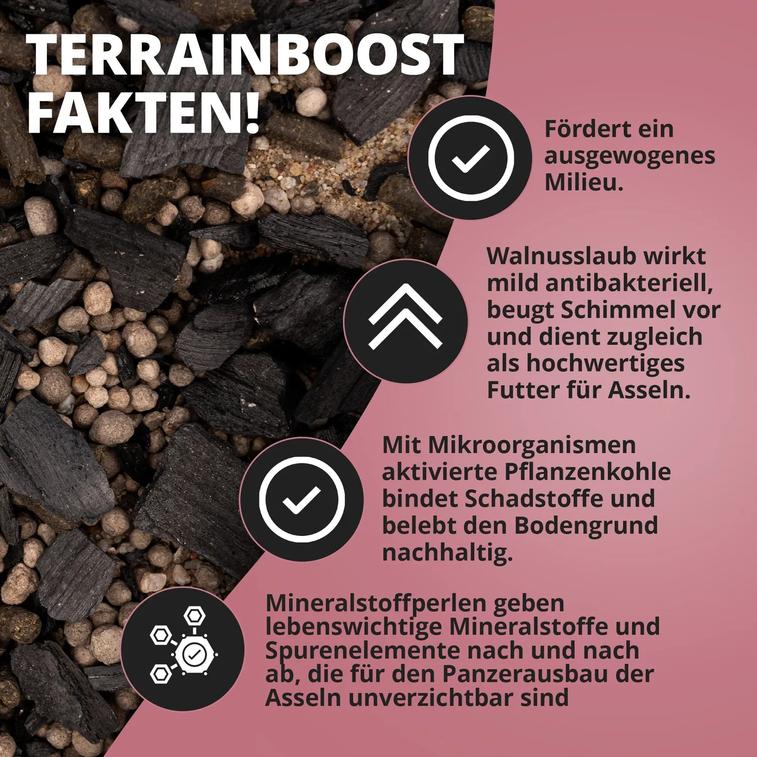 NatureHolic Assel Protect TerrainBoost Bodengrund 500 g Mineral