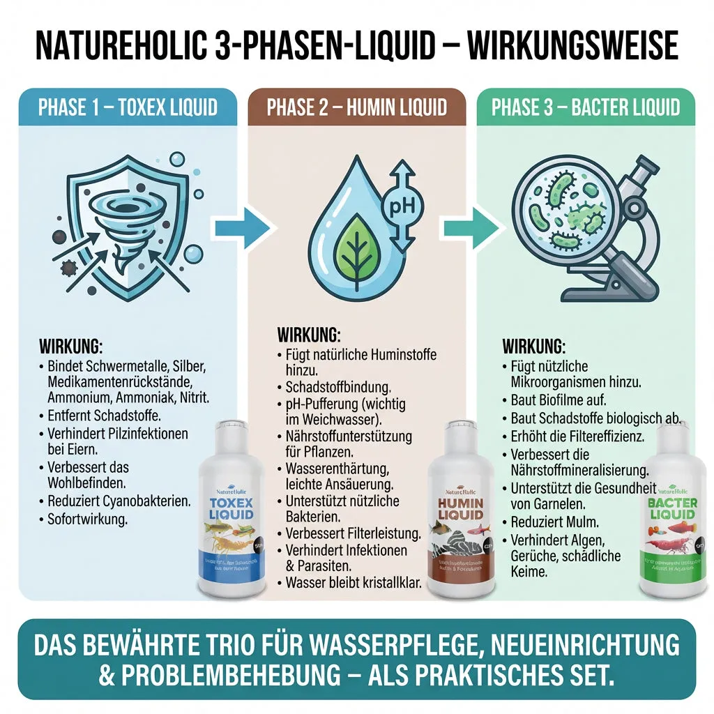 NatureHolic 3 Phasen Liquid Pflegeset 3x125ml Wasserpflege