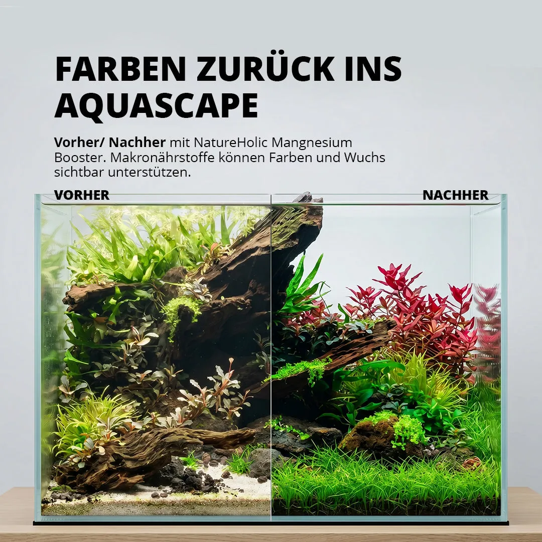 NatureHolic Mg Booster Magnesiumdünger flüssig Aquascaping