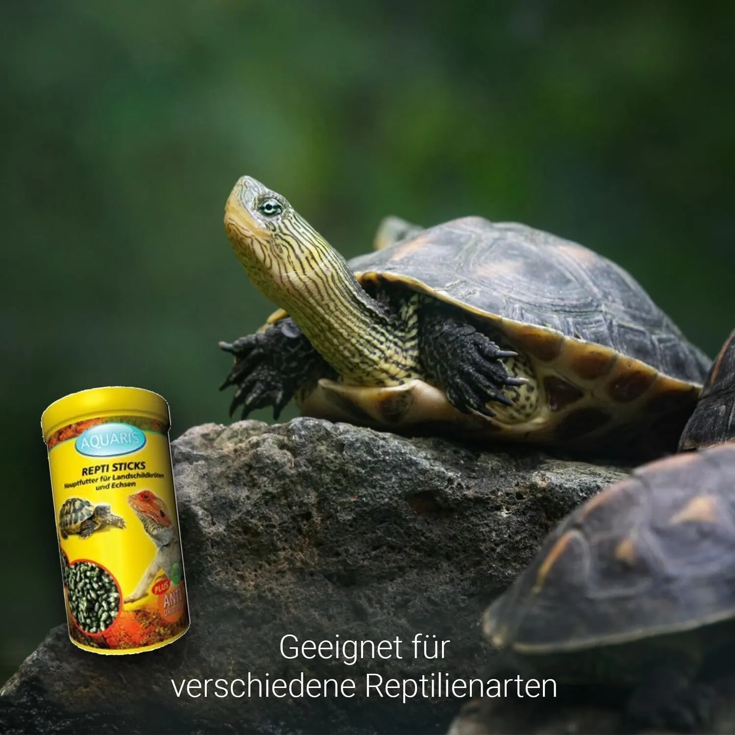 AQUARIS Repti Sticks Carni Schildkrötenfutter 320 g proteinreich