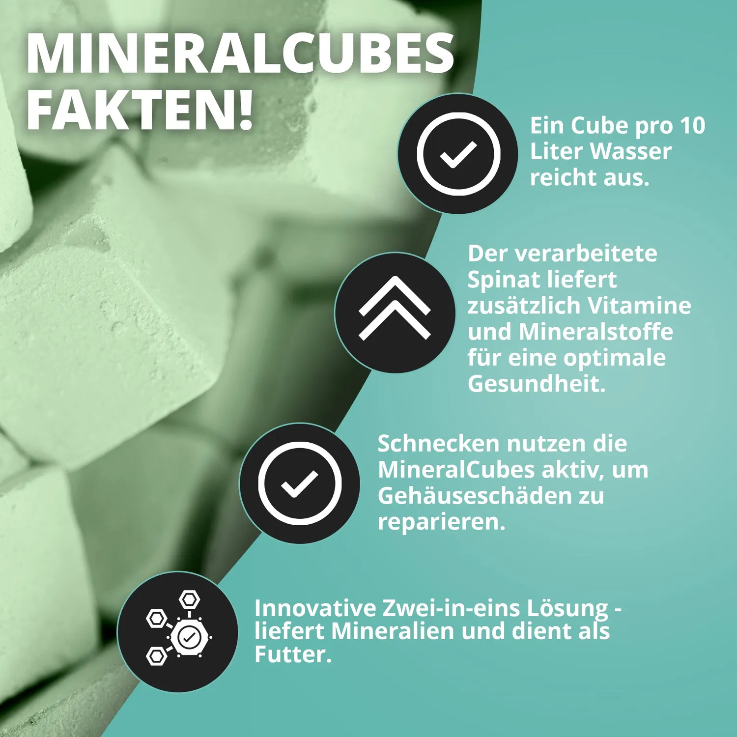 NatureHolic MineralCube Spinach Power Mineralfutter 47ml Spinat