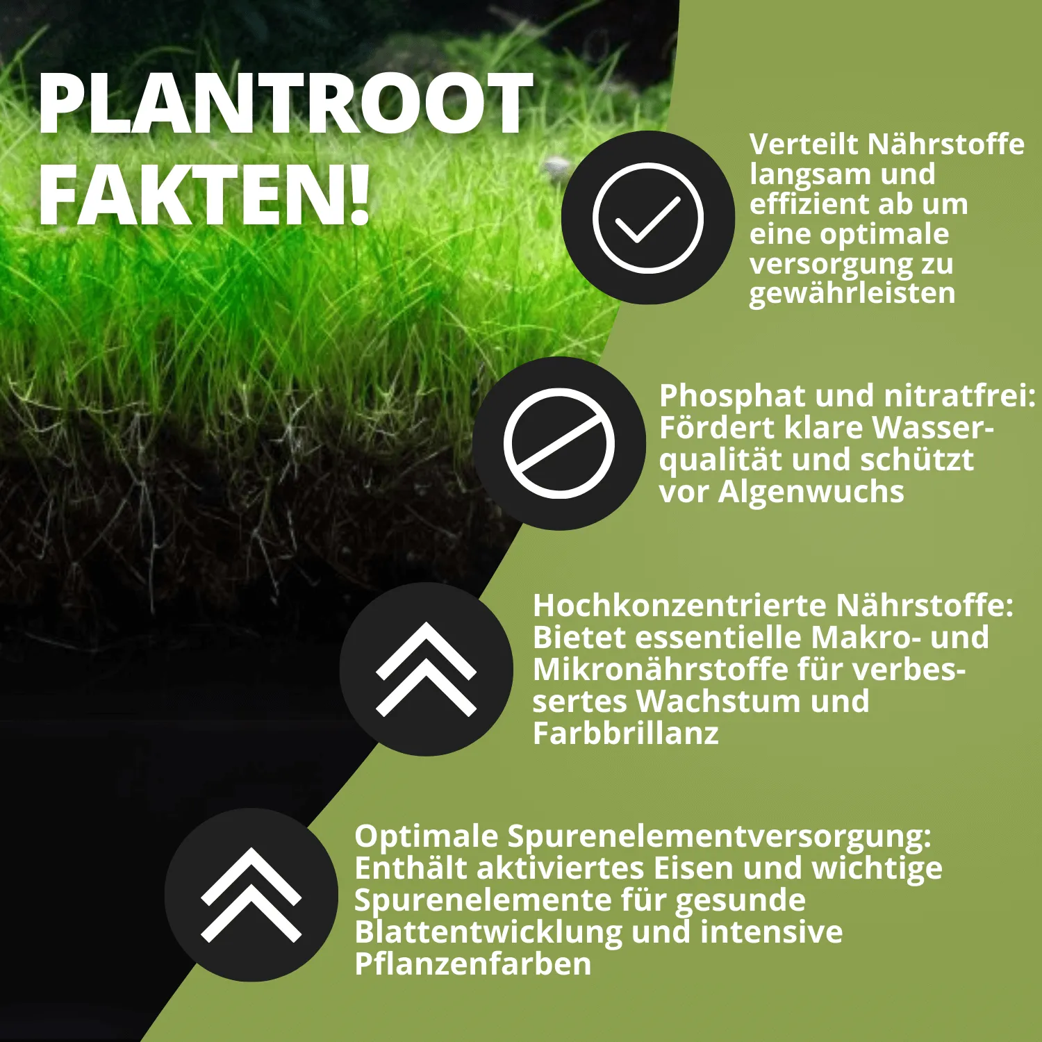 NatureHolic Grow Tab Plantroot Bodentabletten Wurzel Dünger