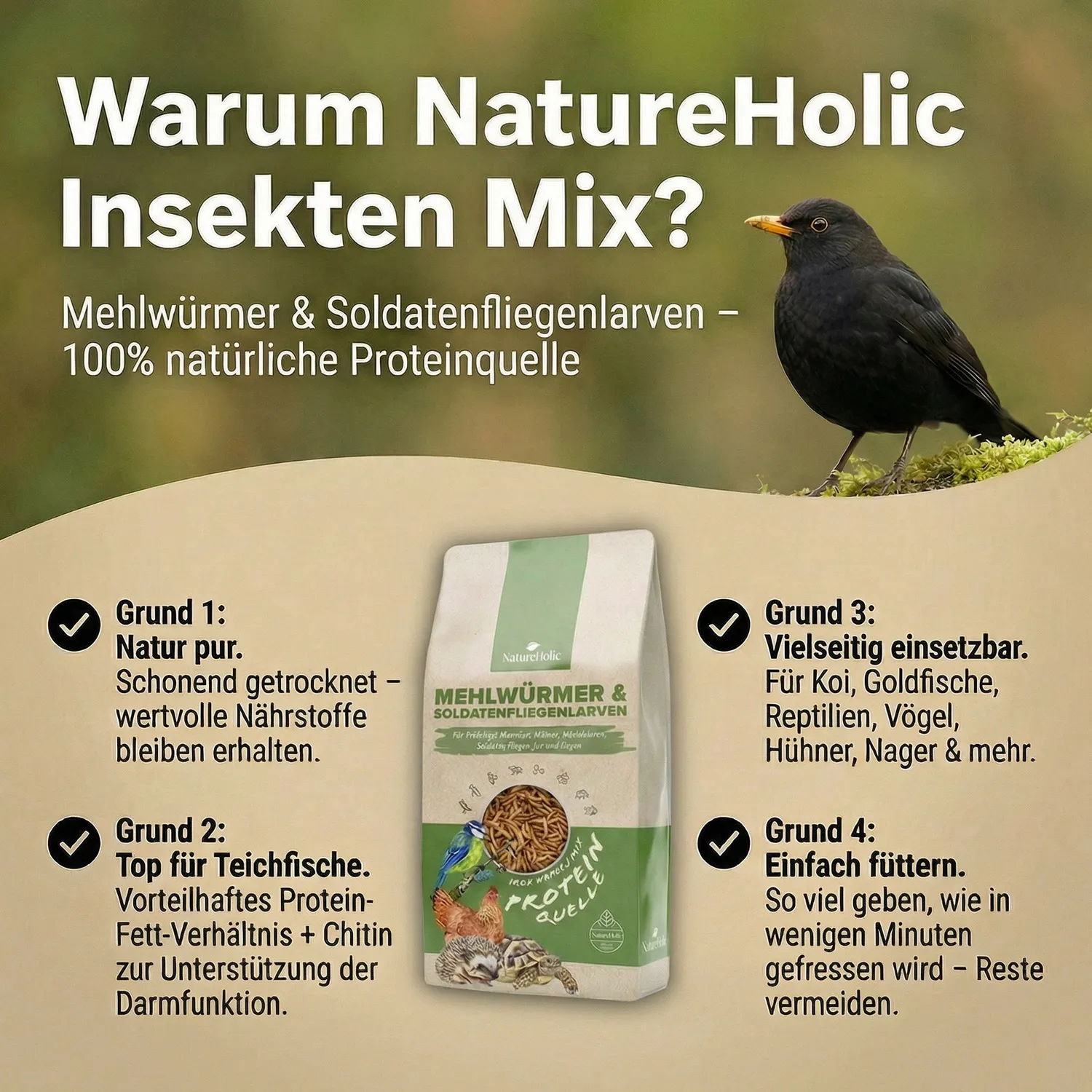NatureHolic Mehlwürmer Soldatenfliegen Mix Teichfutter 3 Liter proteinreich