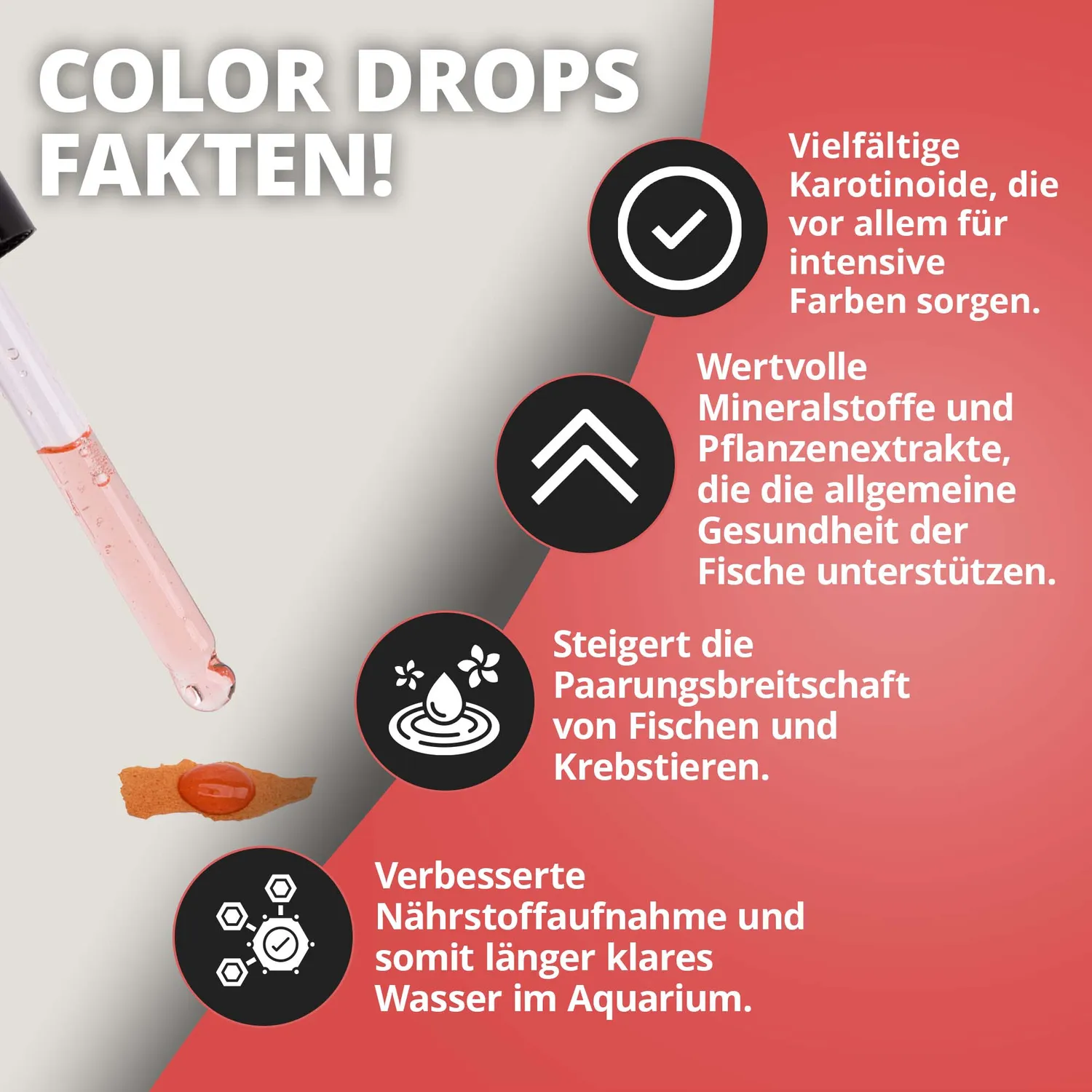NatureHolic Color Drops Fischfutter-Zusatz 30 ml Carotin