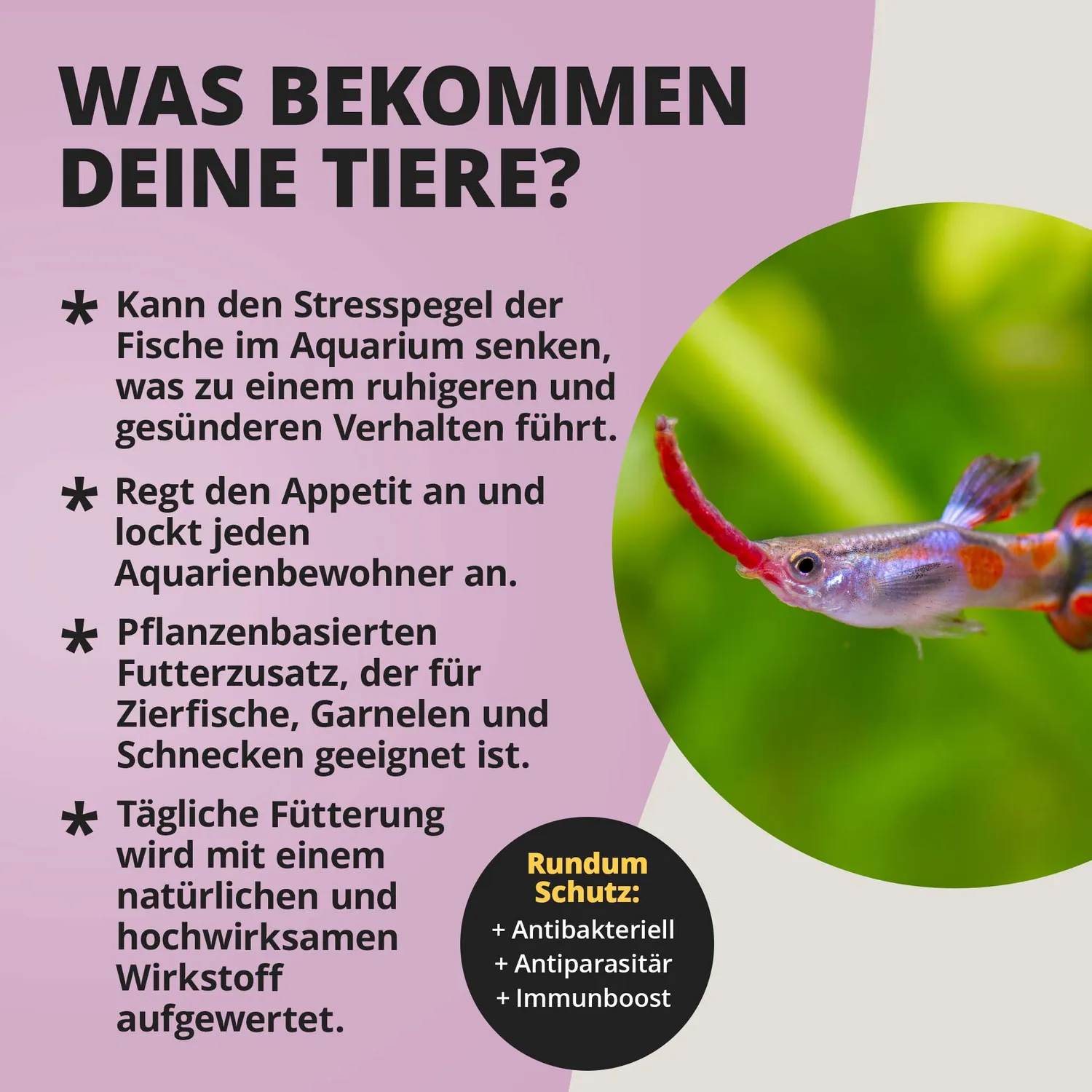 NatureHolic Garlic Drops Knoblauch Futterzusatz 500 Tropfen Gel