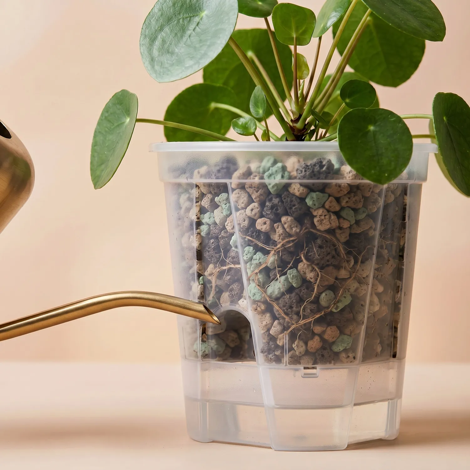 NatureHolic Junglepot Selbstbewässerungstopf 15x15,5 cm mit Docht