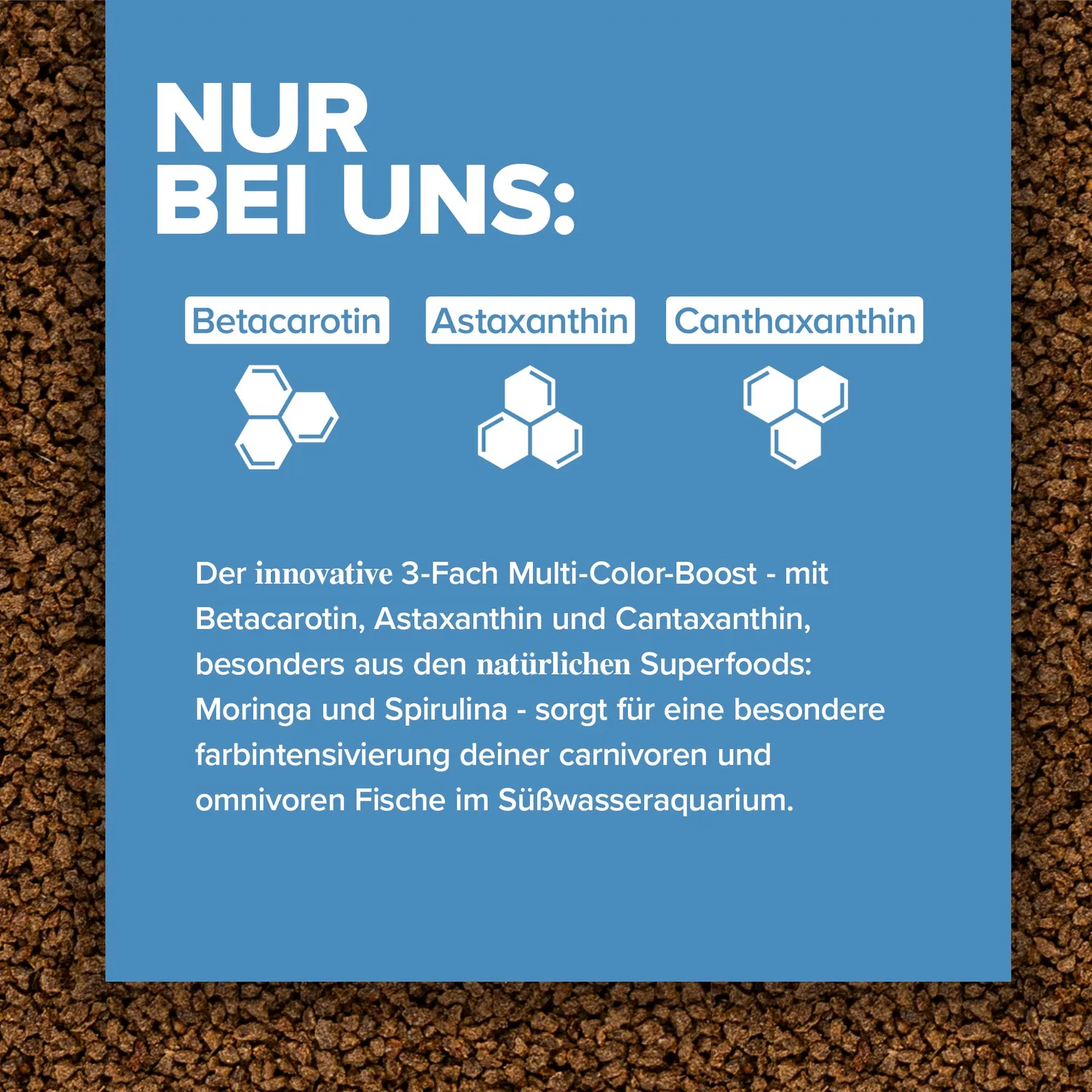NatureHolic Color Feed Zierfischfutter Granulat 30g Farb-Booster