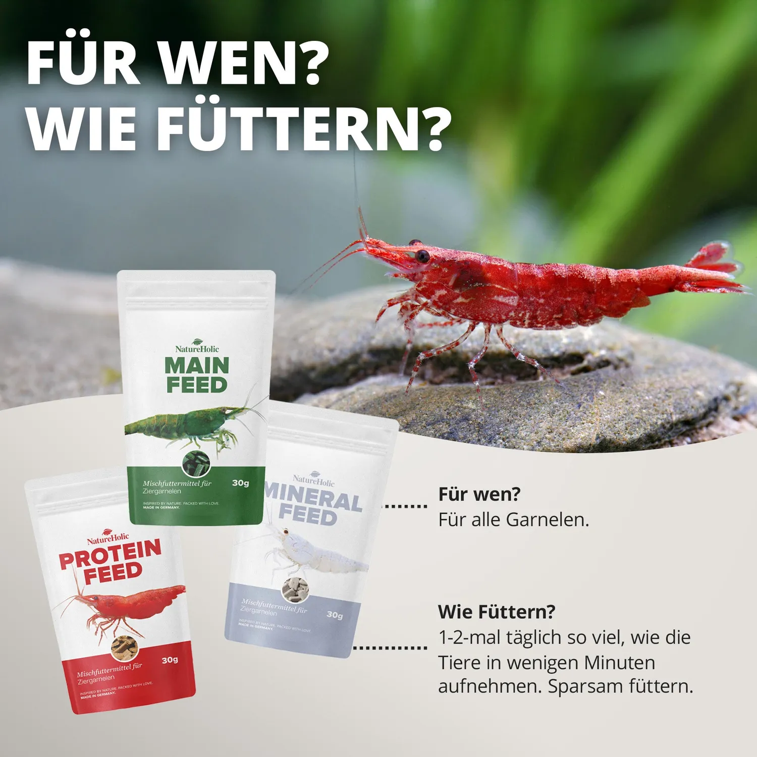 NatureHolic Futter Paket Garnelenfutter 3er-Set kaltgepresst stark