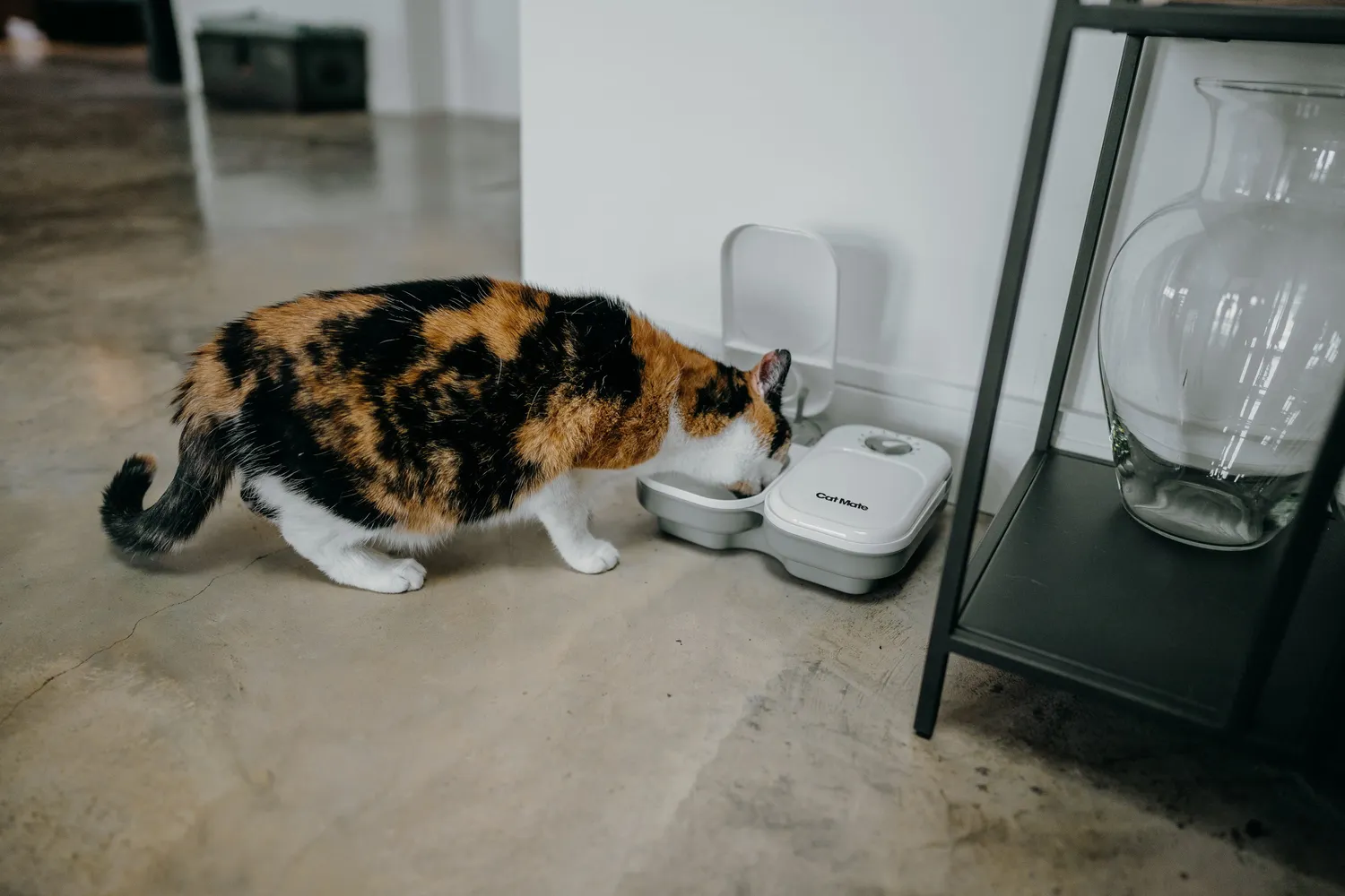 Closer Pets Cat Mate C200 Futterautomat 2 Mahlzeiten 800g