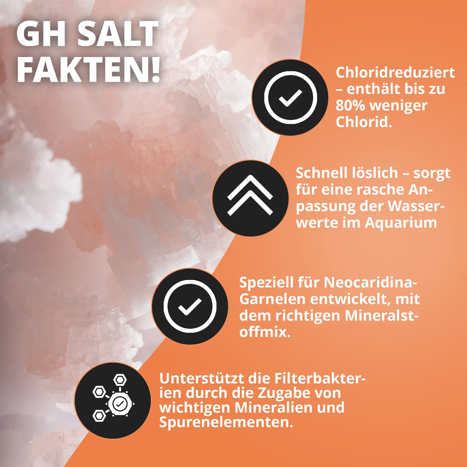 NatureHolic GH Salt Aufhärtesalz 250 g chloridarm