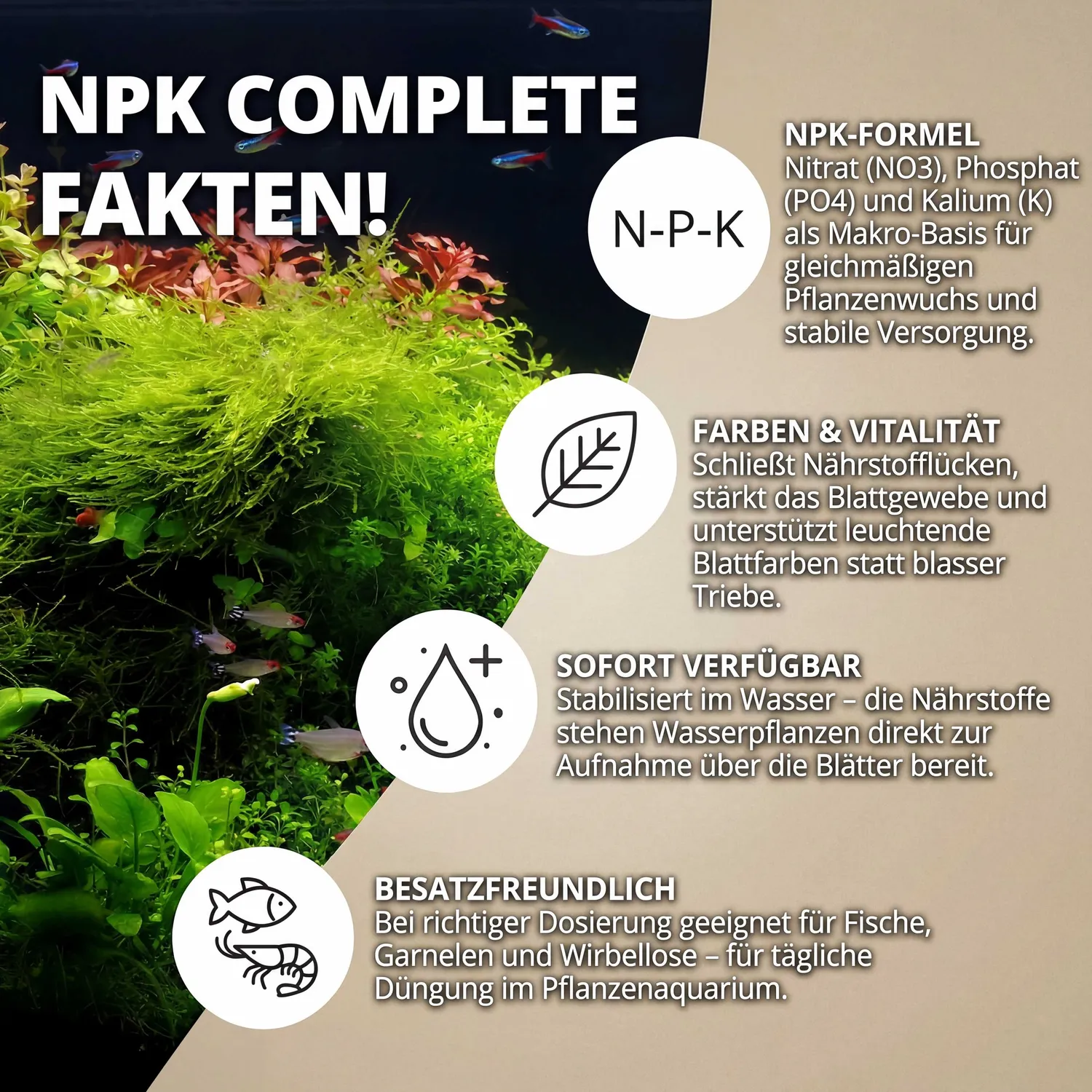 NatureHolic NPK Complete Volldünger Aquarium flüssig Makro
