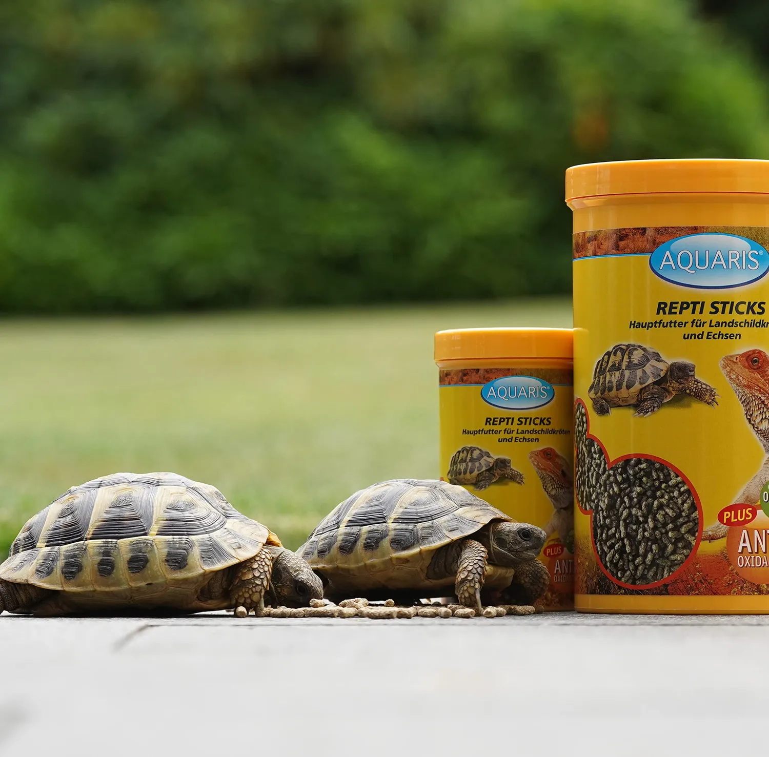 AQUARIS Repti Sticks Carni Schildkrötenfutter 320 g proteinreich