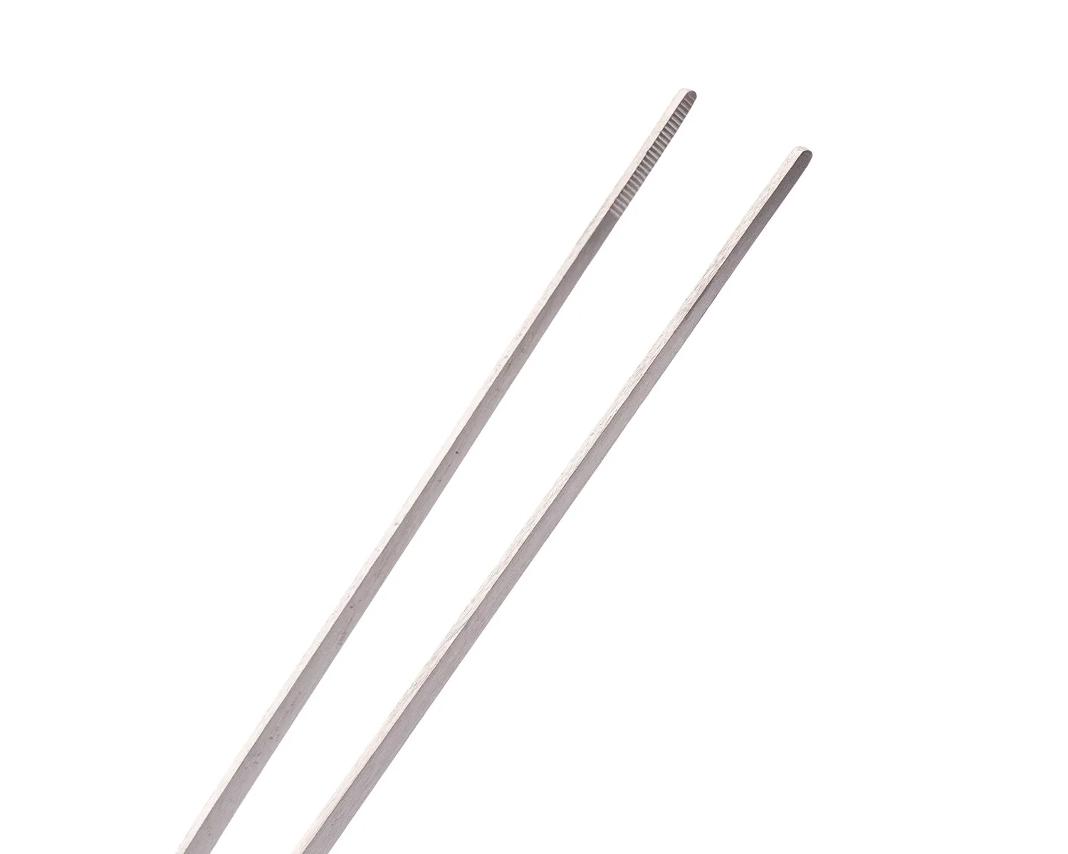 NatureHolic Pflanzenpinzette Straight 27cm silber Edelstahl