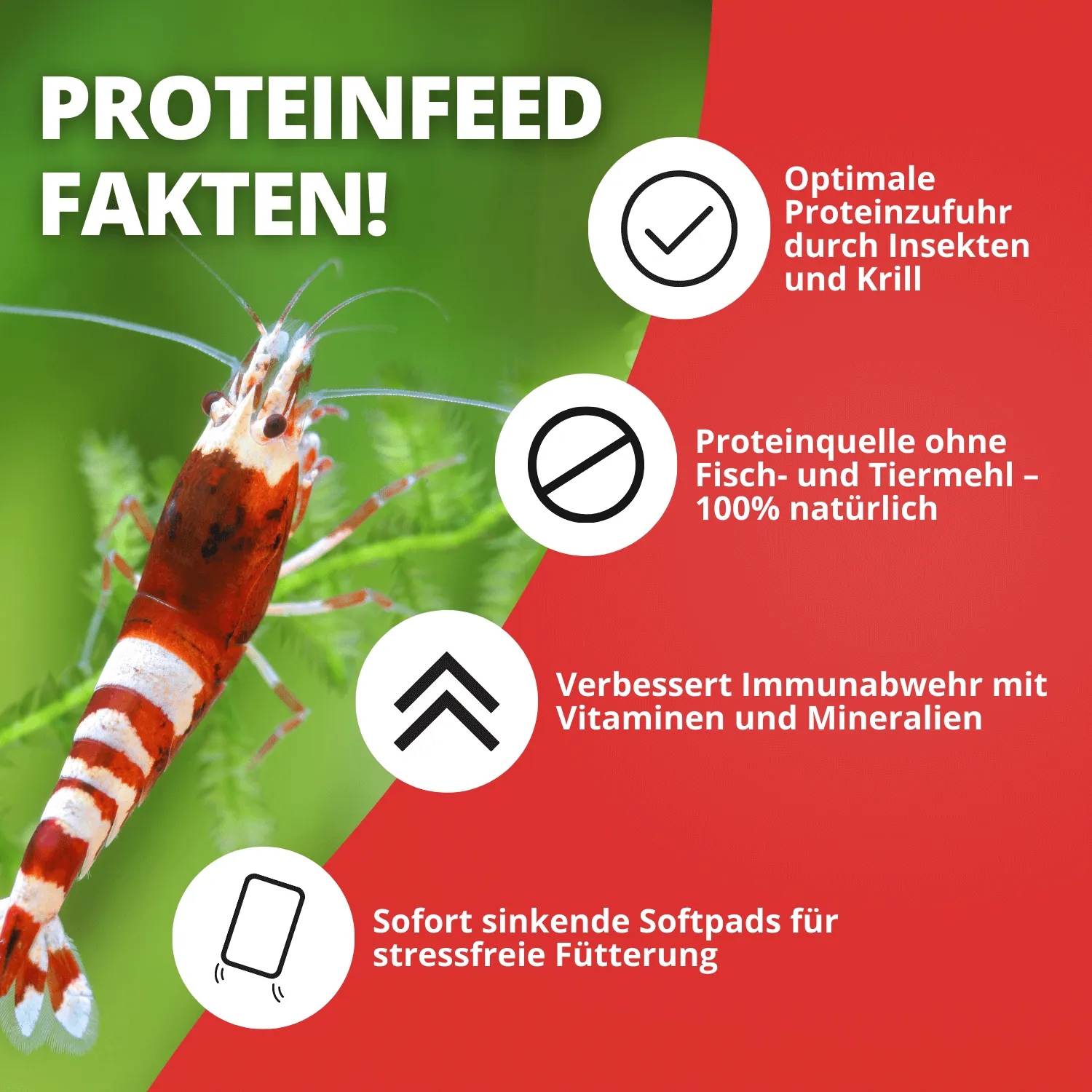 NatureHolic Proteinfeed Garnelenfutter 30 g Proteinfutter