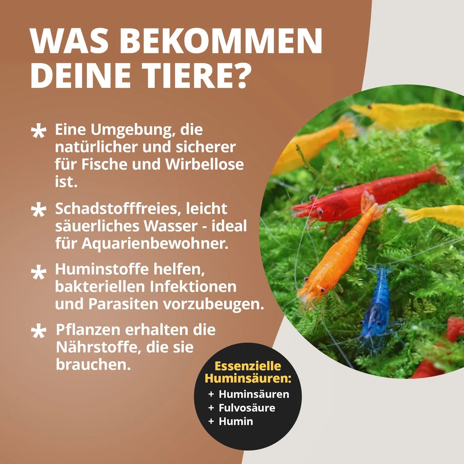 NatureHolic Crusta Humin Liquid Wasserpflege 125ml Huminstoffe