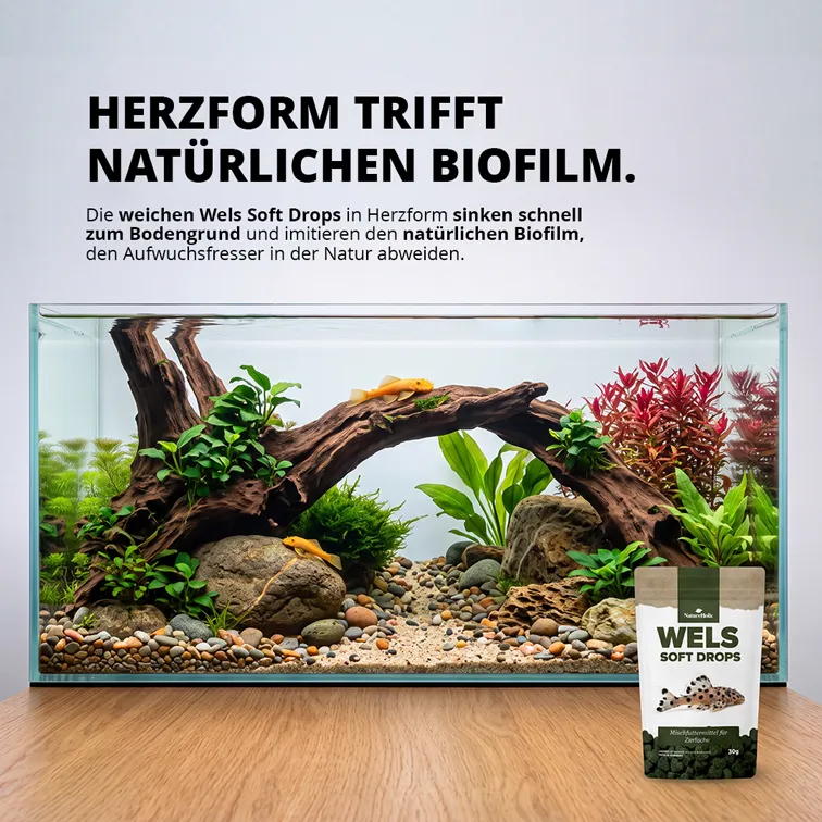 NatureHolic Wels Soft Drops Welsfutter 30 g Insektenprotein