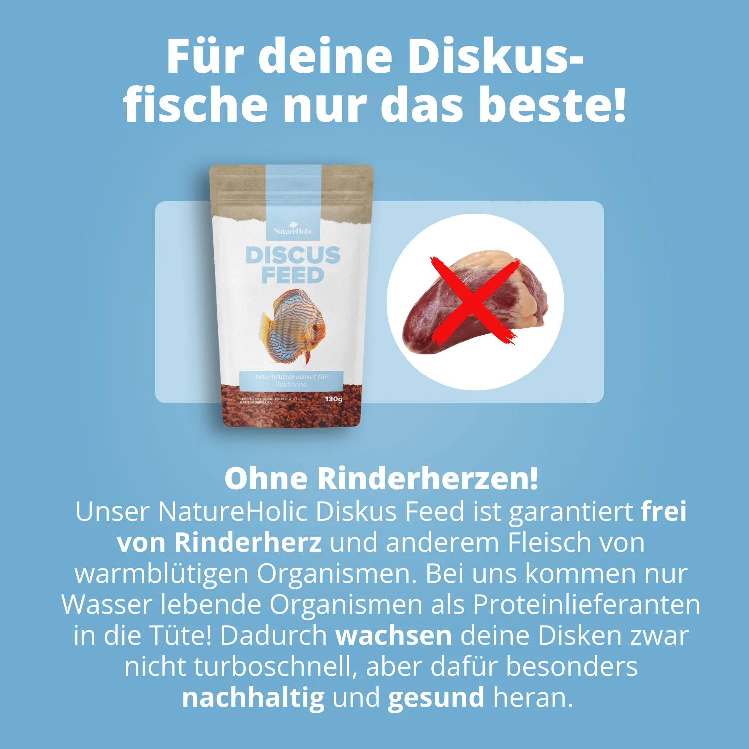 NatureHolic Discusfeed Diskus Granulatfutter 130g proteinreich Knoblauch
