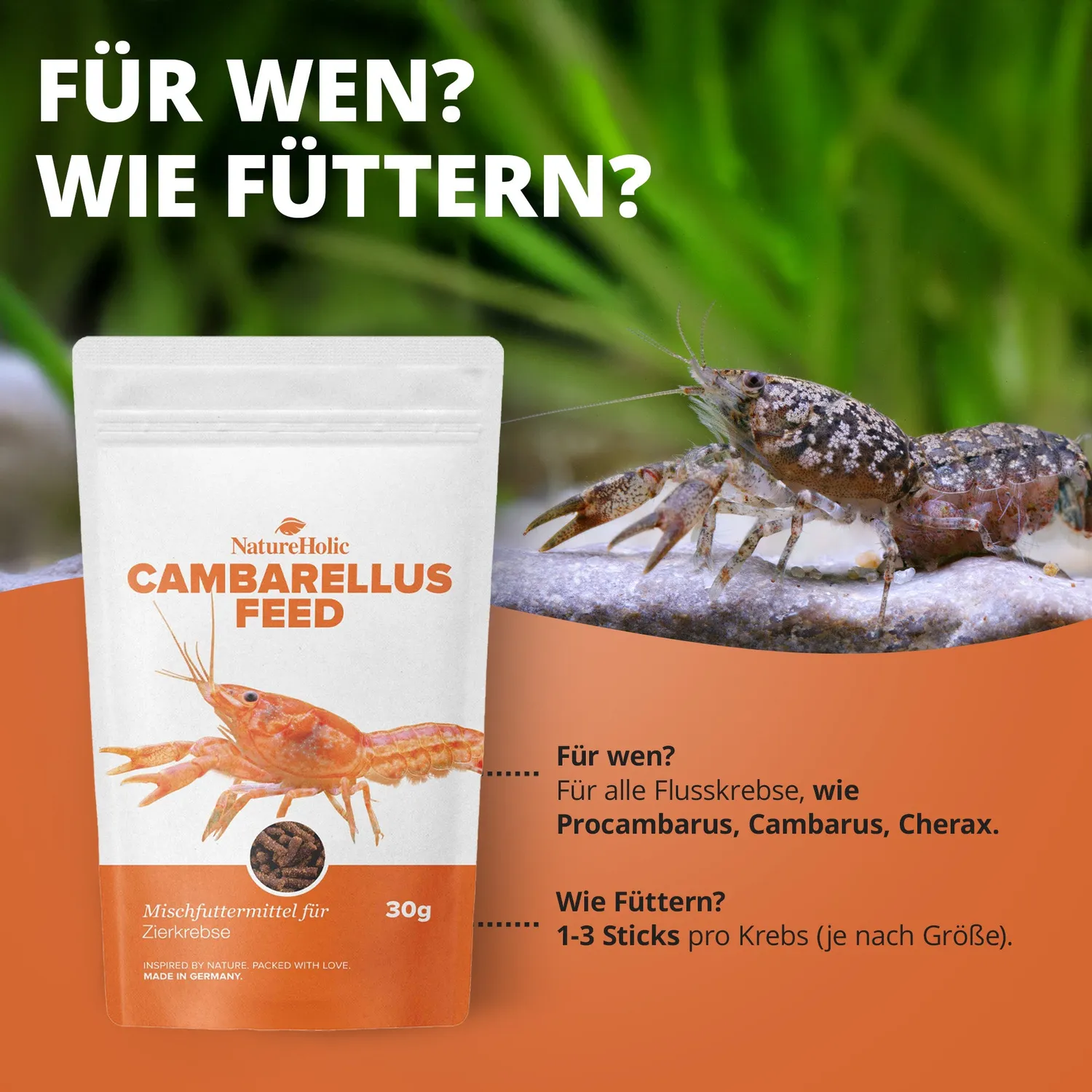 NatureHolic Cambarellusfeed CPO Zwergkrebsfutter 30g proteinreich
