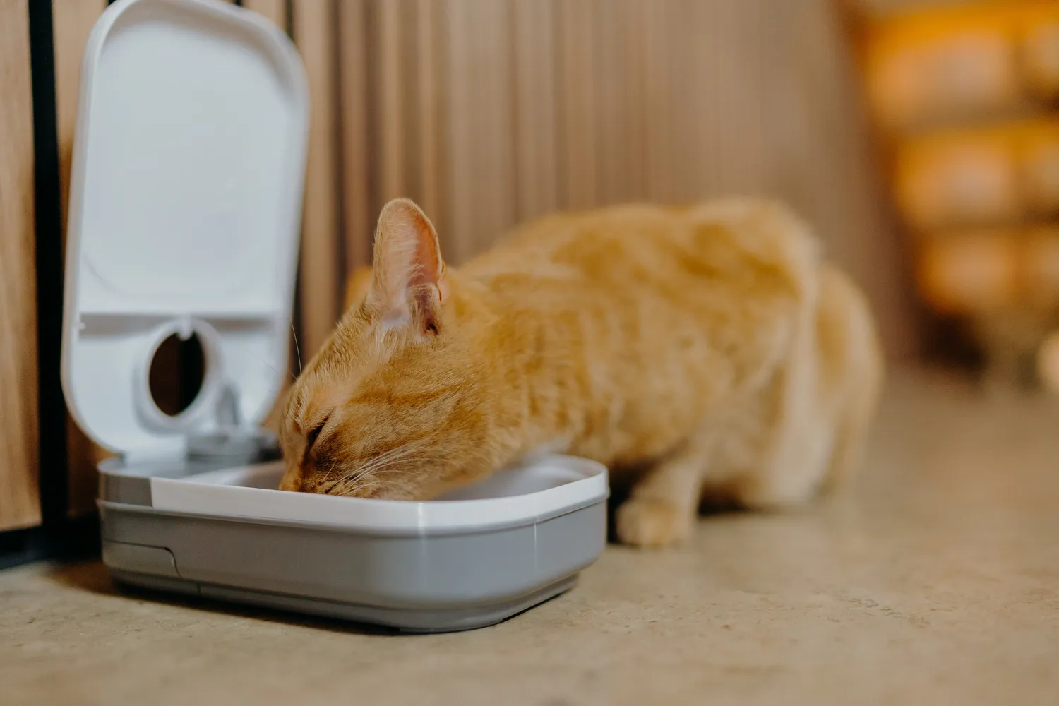 Closer Pets Cat Mate C100 Futterautomat 1 Mahlzeit 400g
