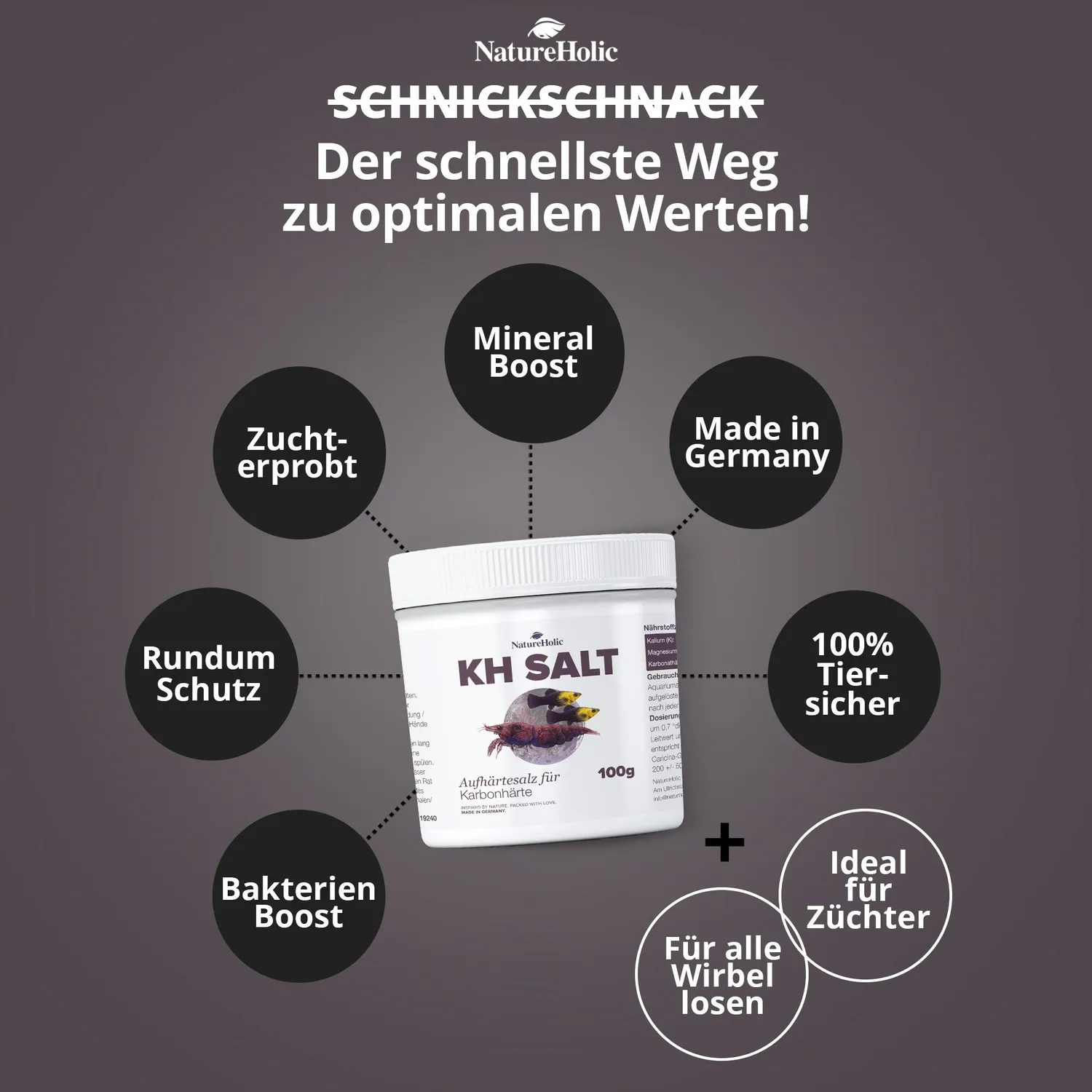 NatureHolic KH Salt Aufhärtesalz 500 g chloridreduziert