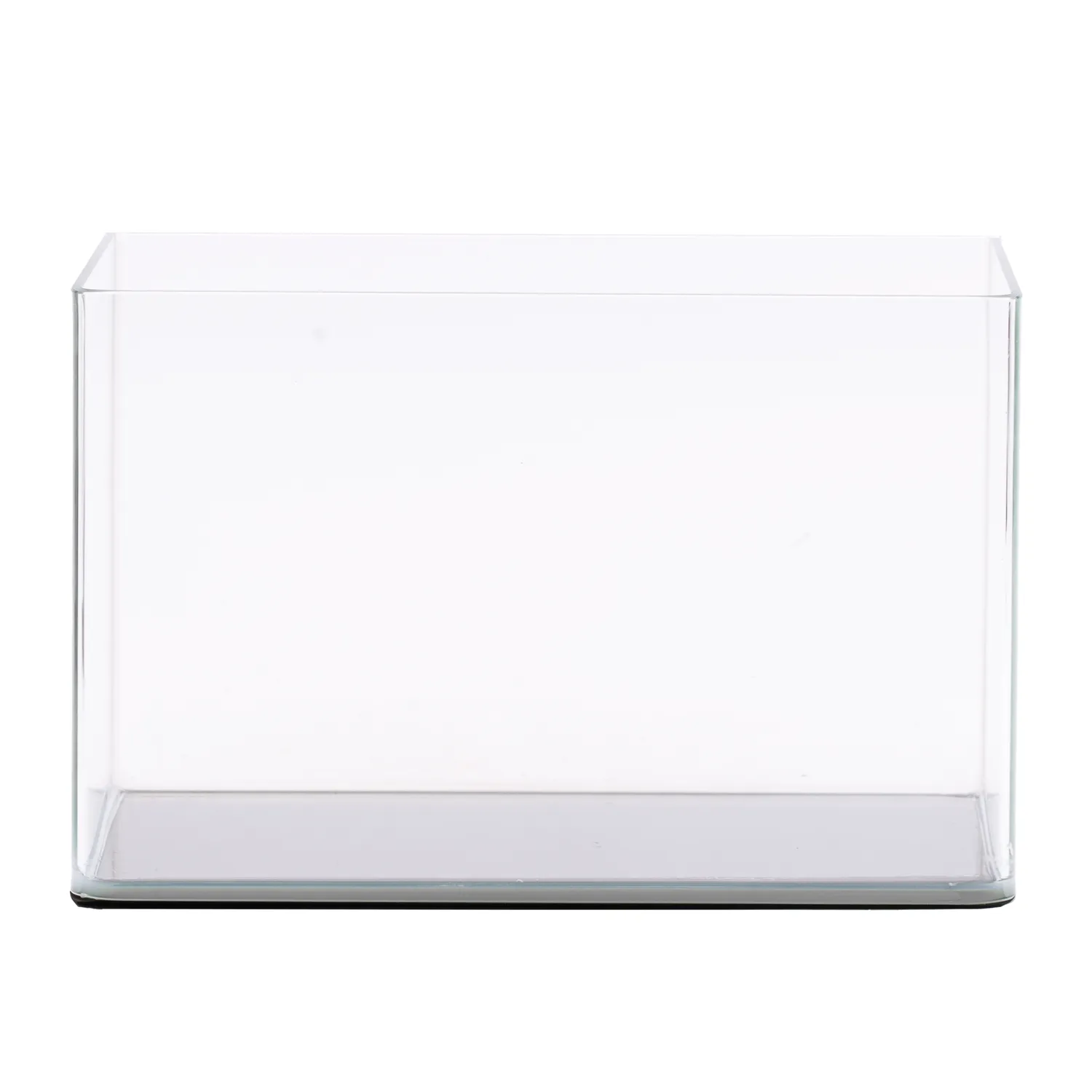 NatureHolic Curved Garden Tank Big Aquarium 38 L 45x28x30 cm