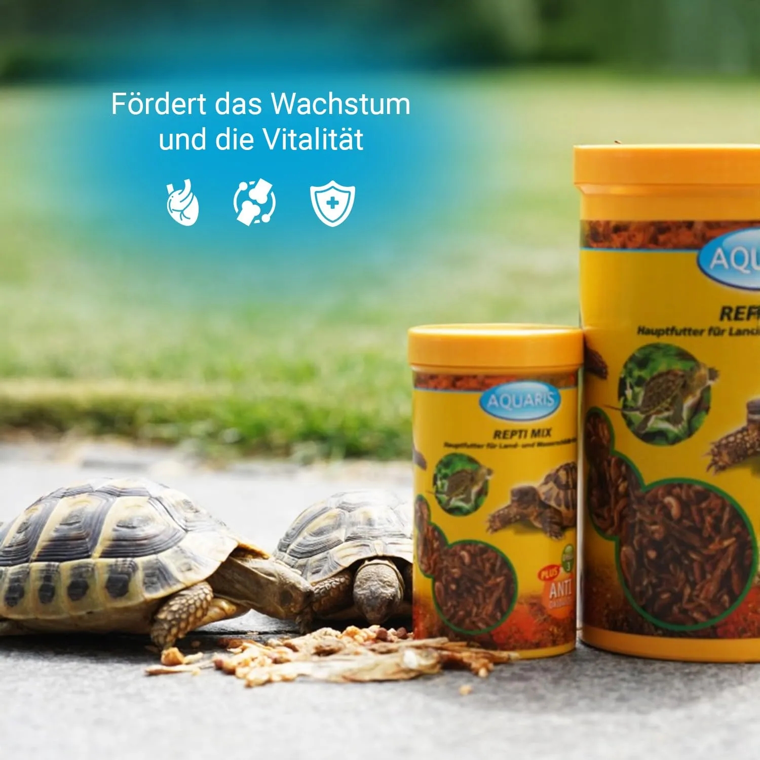 AQUARIS Repti Mix Schildkrötenfutter 55 g mit Gammarus