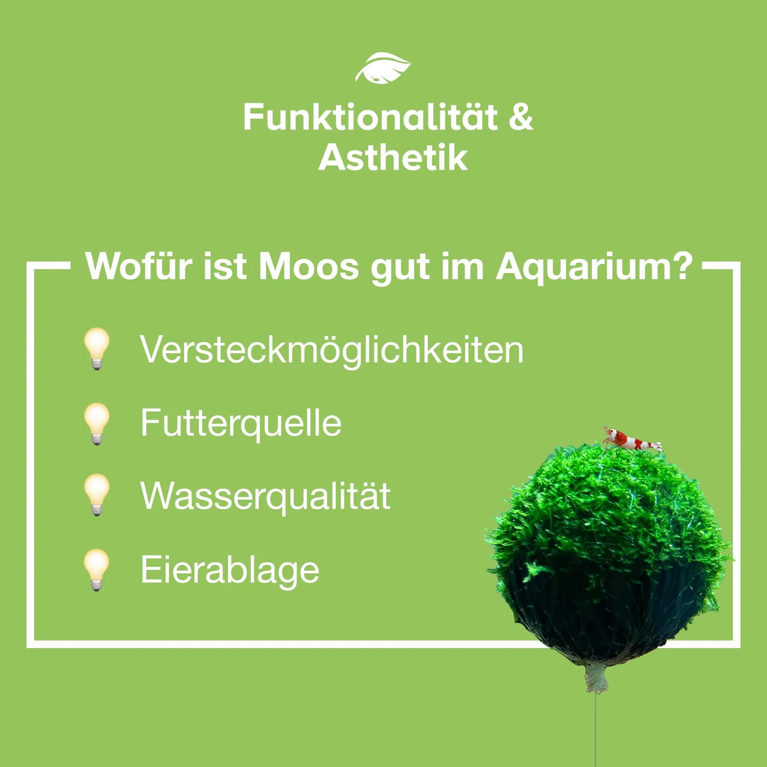 NatureHolic Floating Spheres Moosbälle 3 Stück schwebend