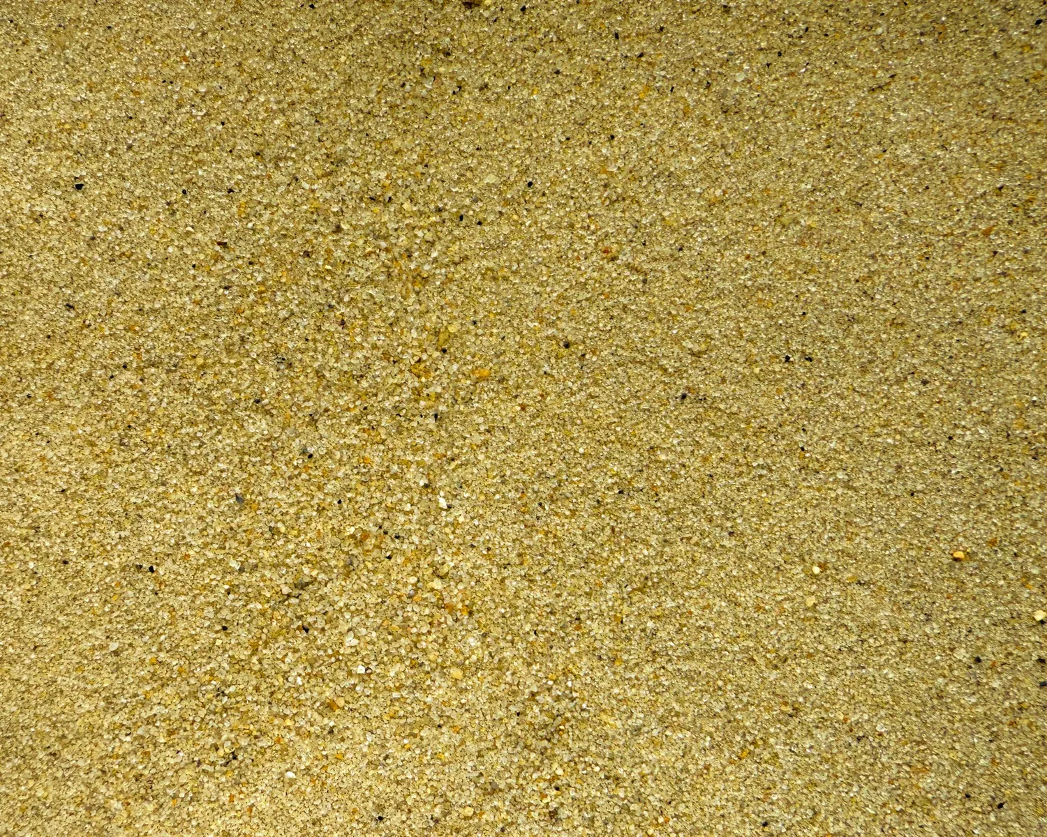 NatureHolic Eli Creek Natursand Aquarium 3 kg 0,1-0,3 mm