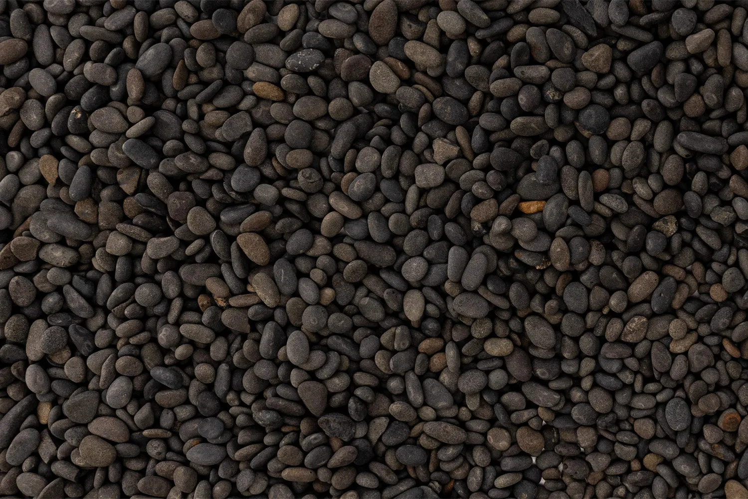 NatureHolic Naturkies Blackstone River Bodengrund 3 kg 2-5 mm