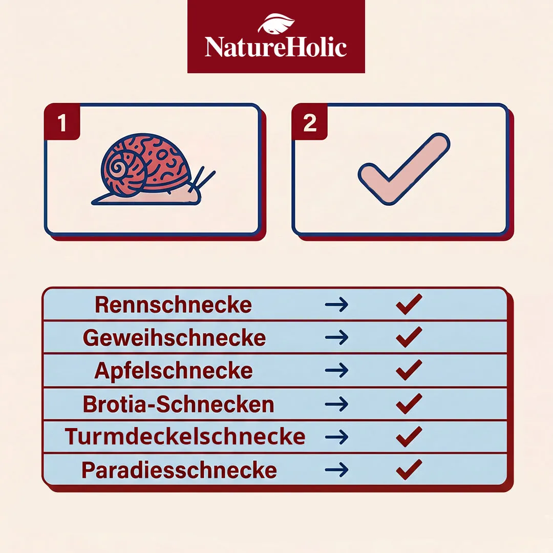 NatureHolic Schneckenfeed Pudding Schneckenfutter 50g Aufwuchs
