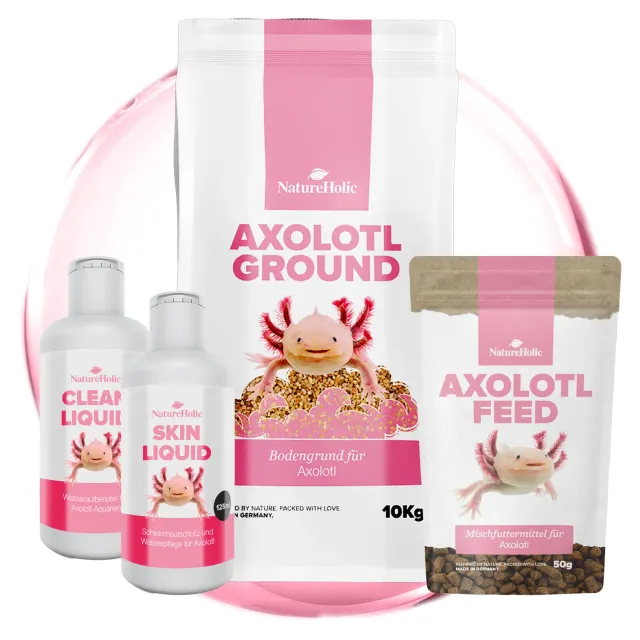 NatureHolic Axolotl Rundum Sorglos-Paket Aquarium-Set 4-teilig