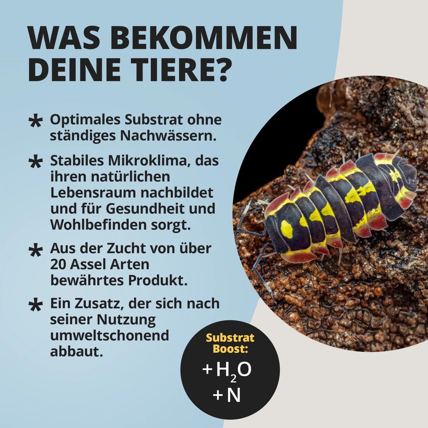 NatureHolic Assel HydroProtect Wasserspeicher 50 g Terrarium