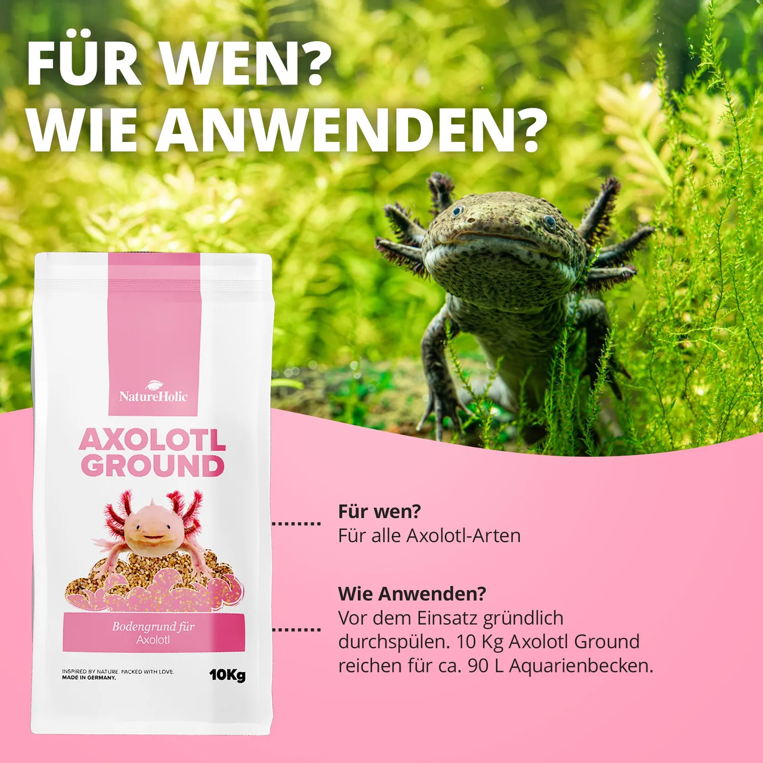 NatureHolic Axolotl Ground Bodengrund 10kg 2-3mm