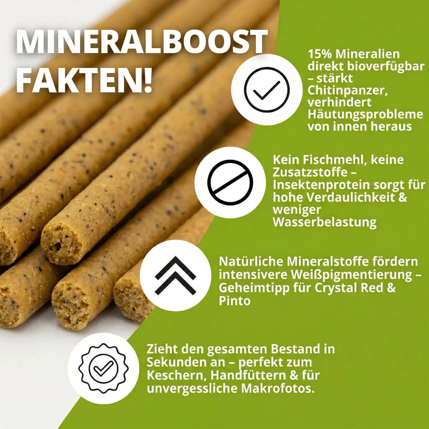 NatureHolic MineralBoost Garnelenlutscher 1 Stück Mineralfutter