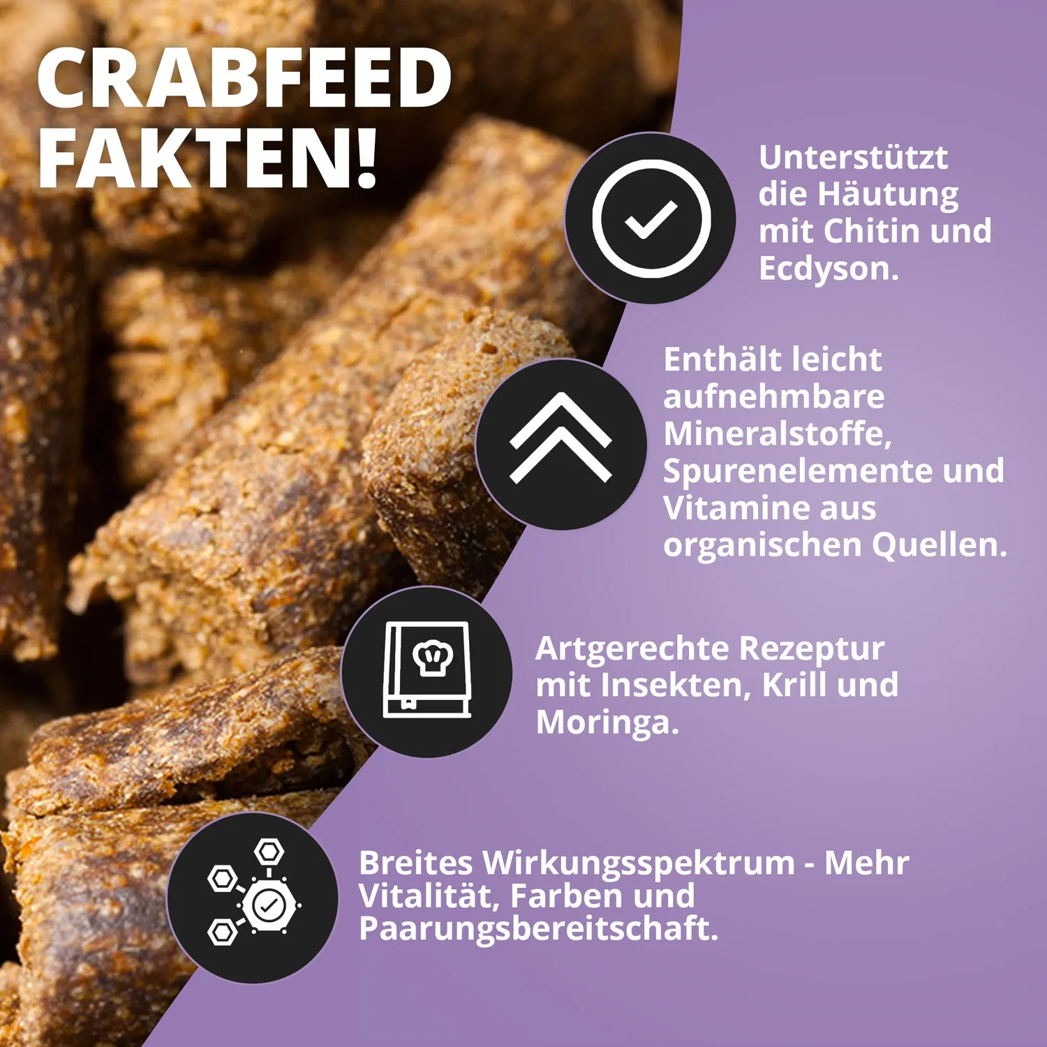 NatureHolic Krabbenfeed Krabbenfutter 30 g Sticks Chitin