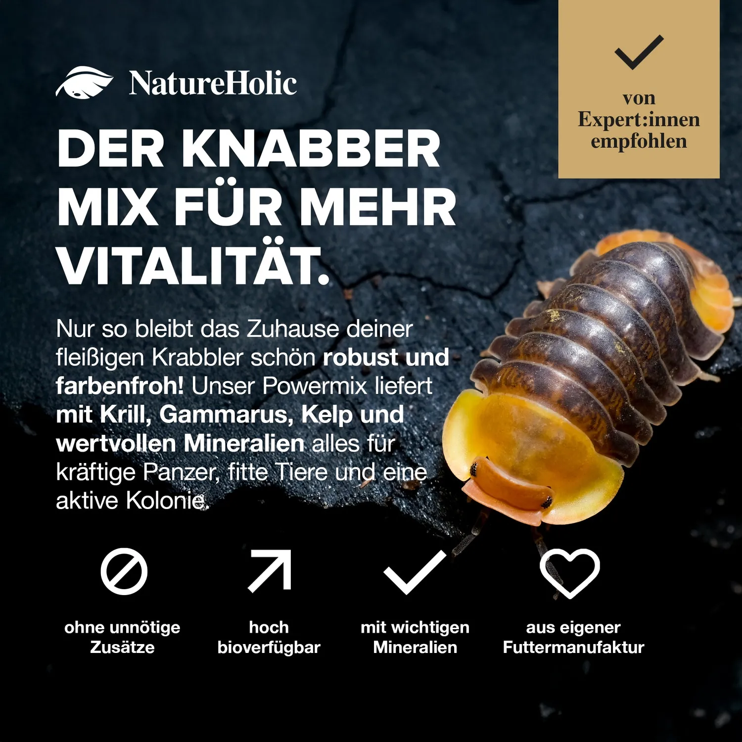 NatureHolic AsselFeed Asselfutter 30 g Protein-Mix